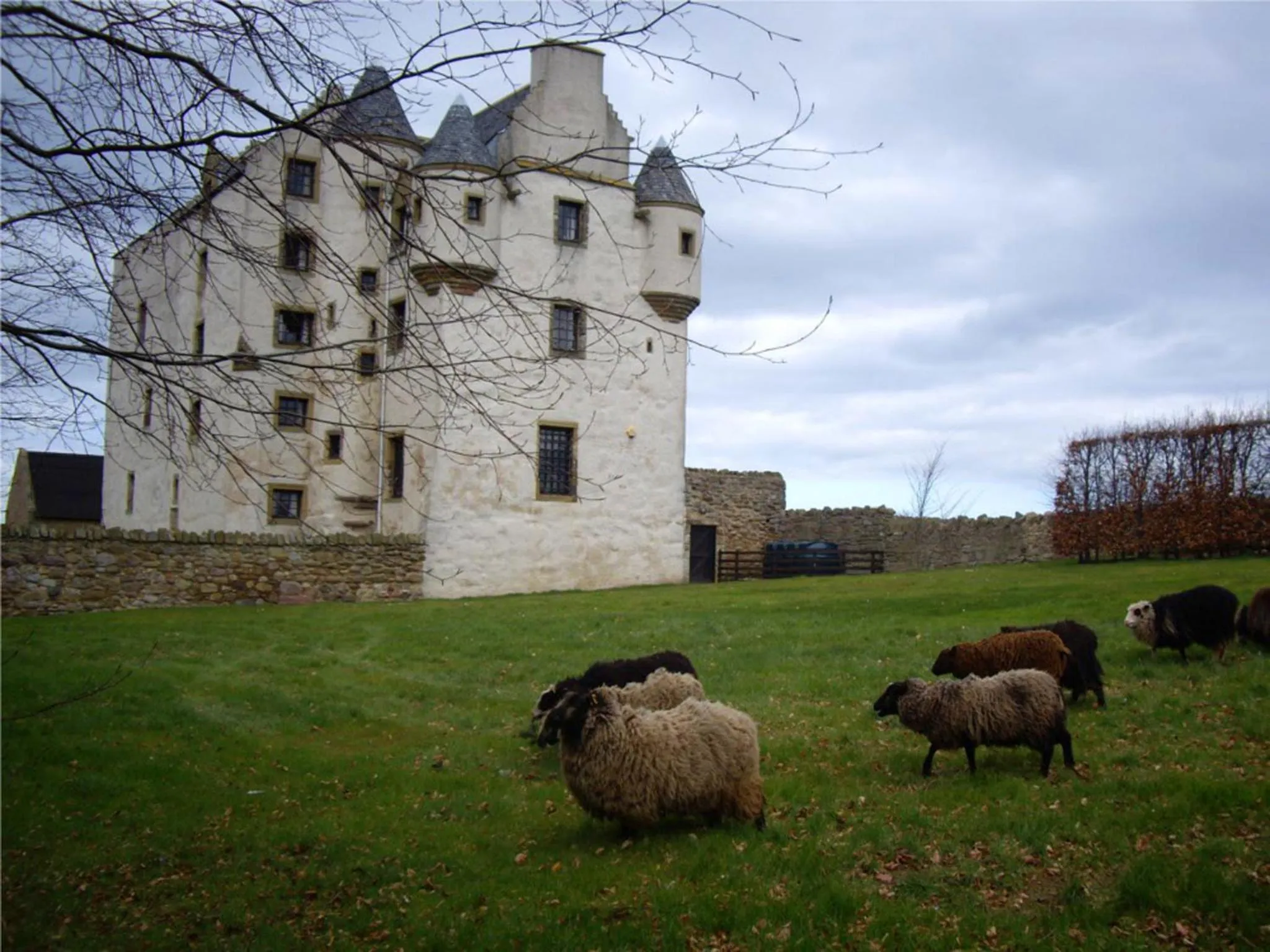 Animals in Faside Estate