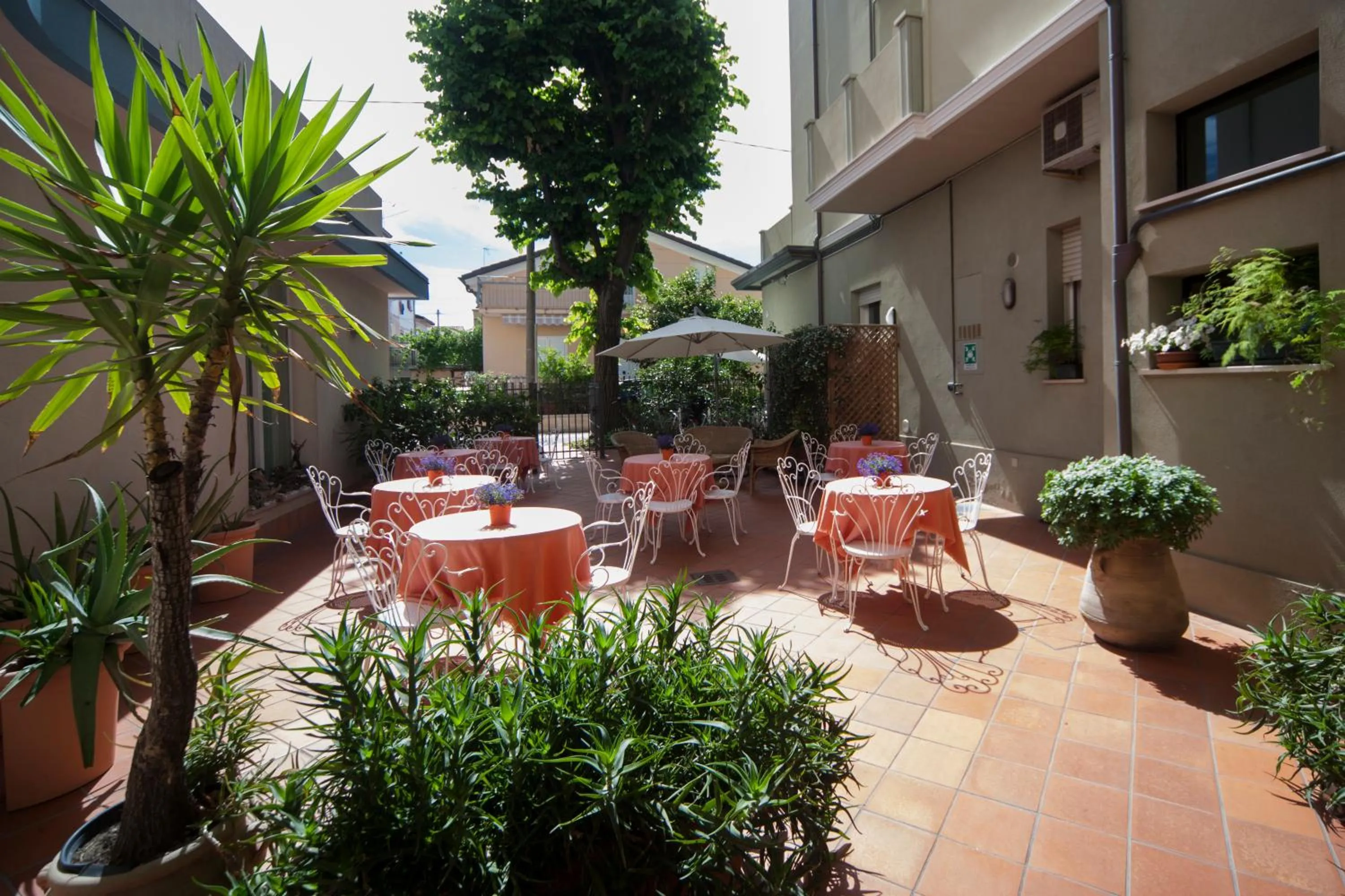 Garden in Hotel Ricchi