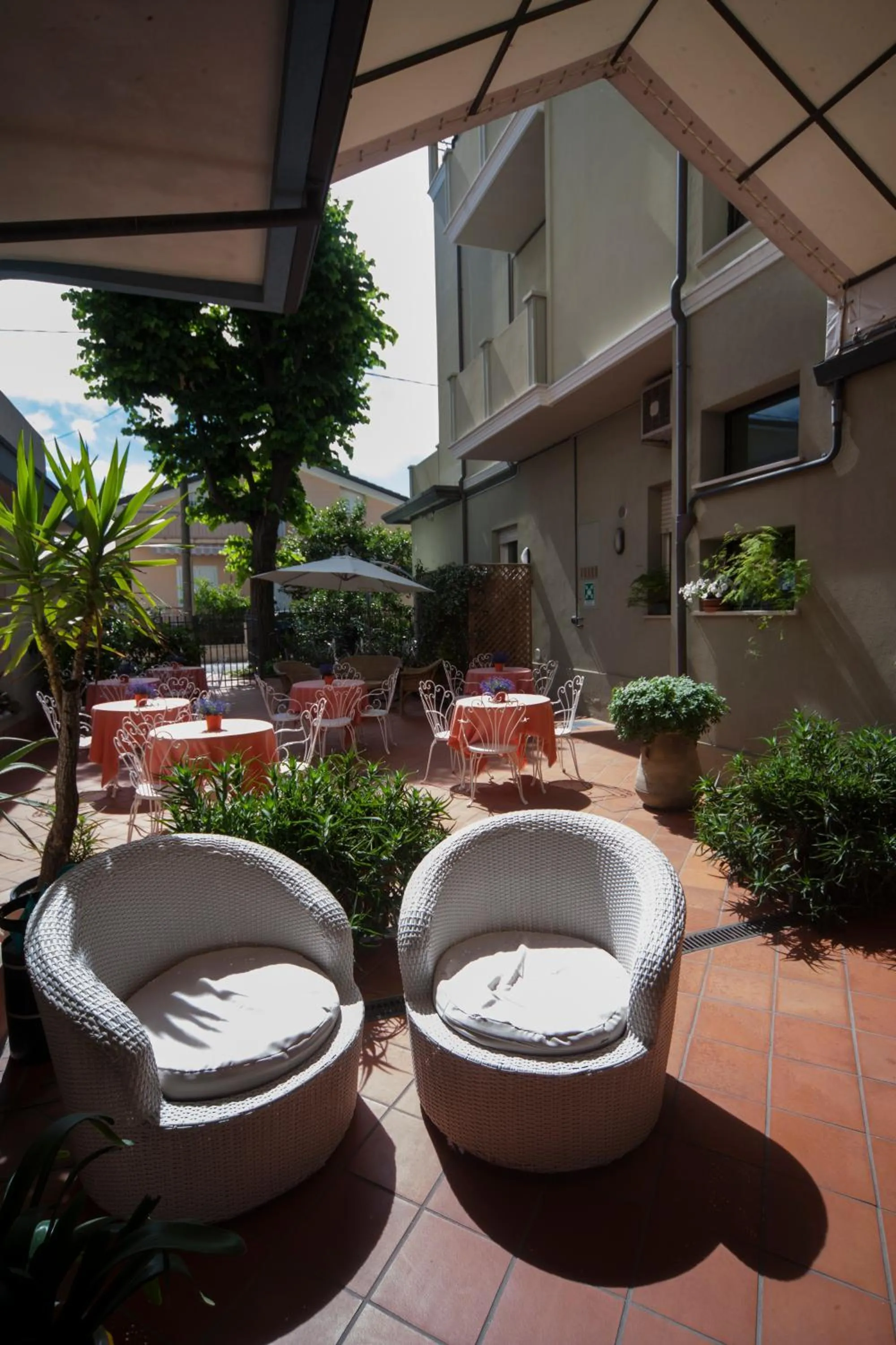 Garden in Hotel Ricchi
