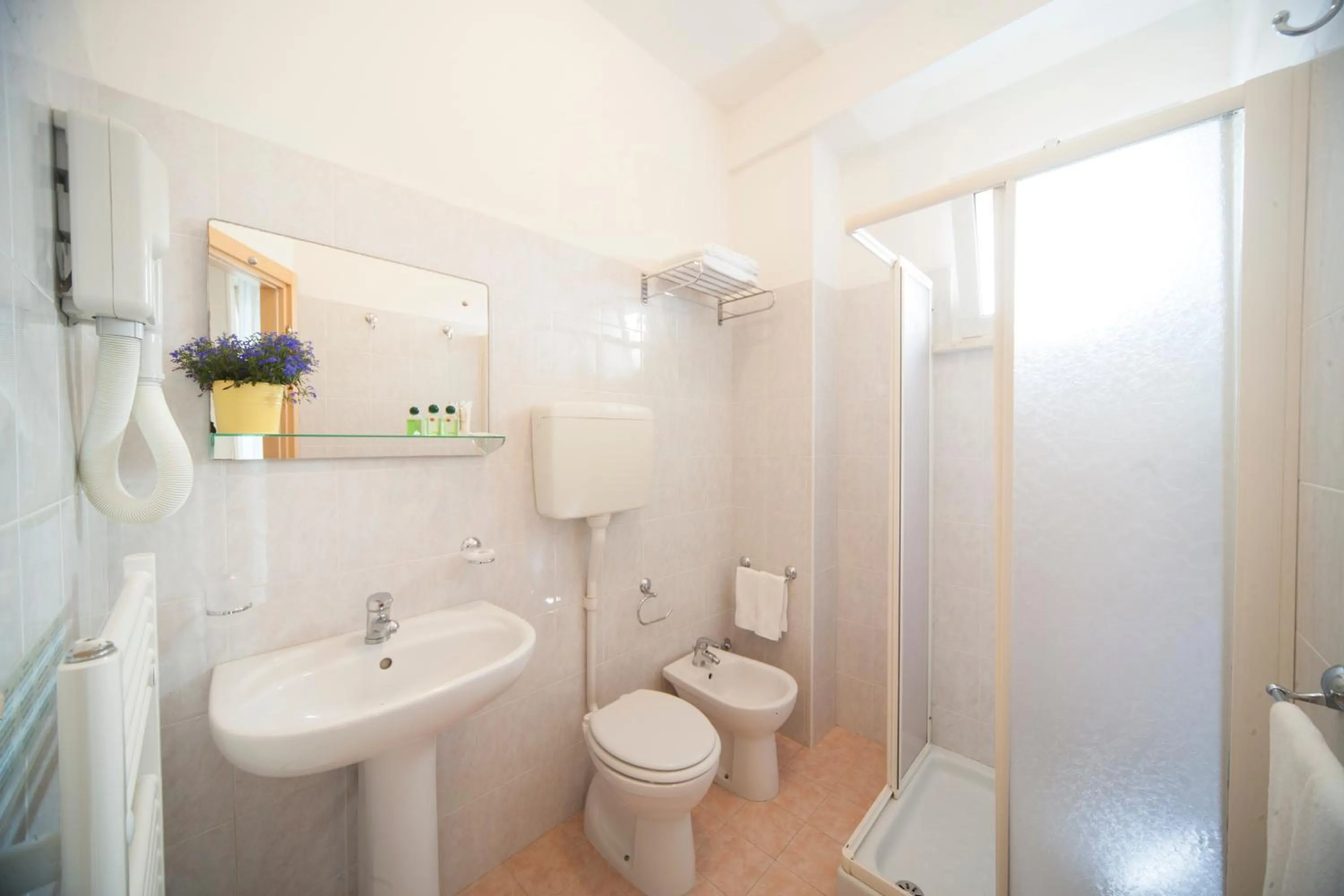 Bathroom in Hotel Ricchi