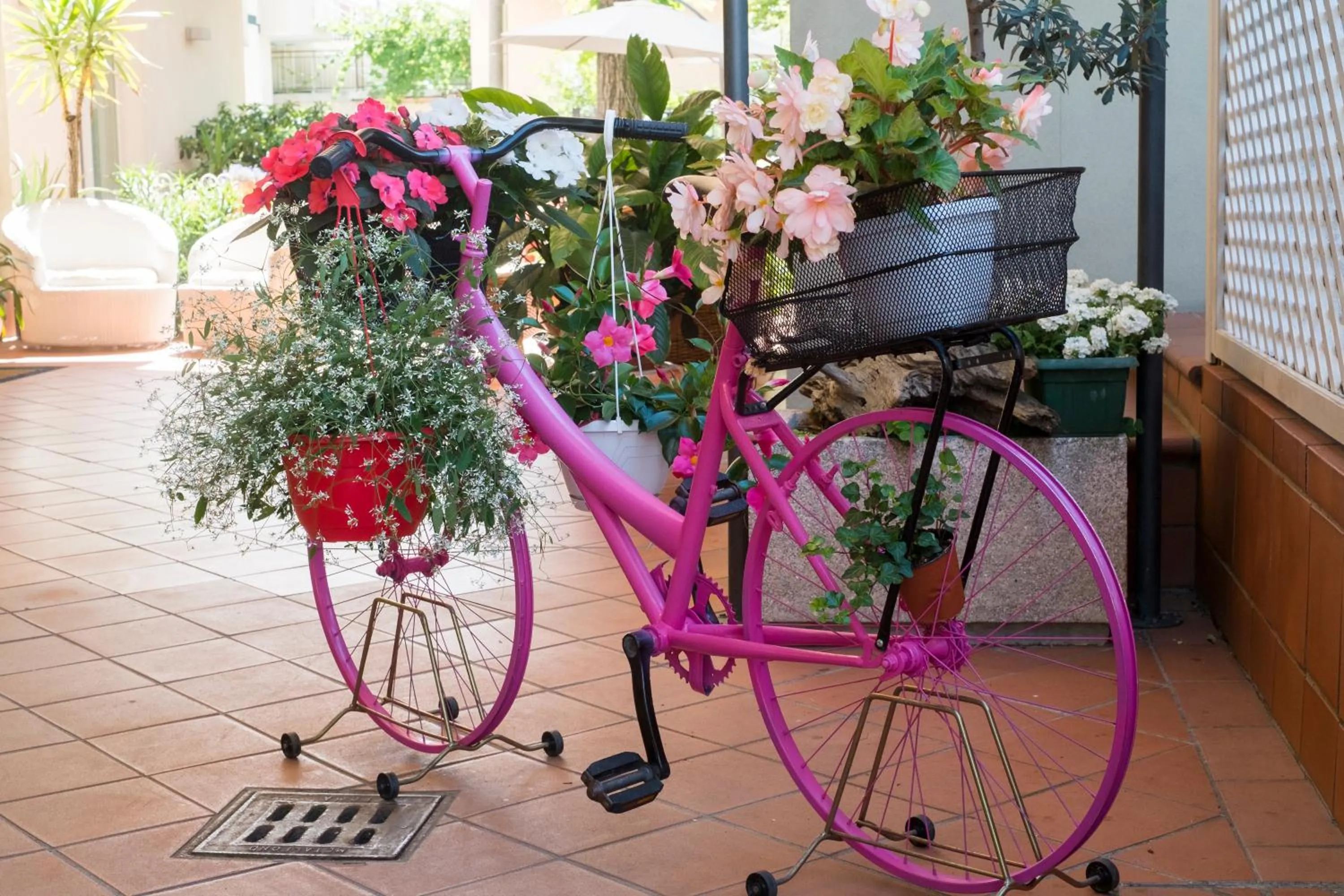 Garden in Hotel Ricchi