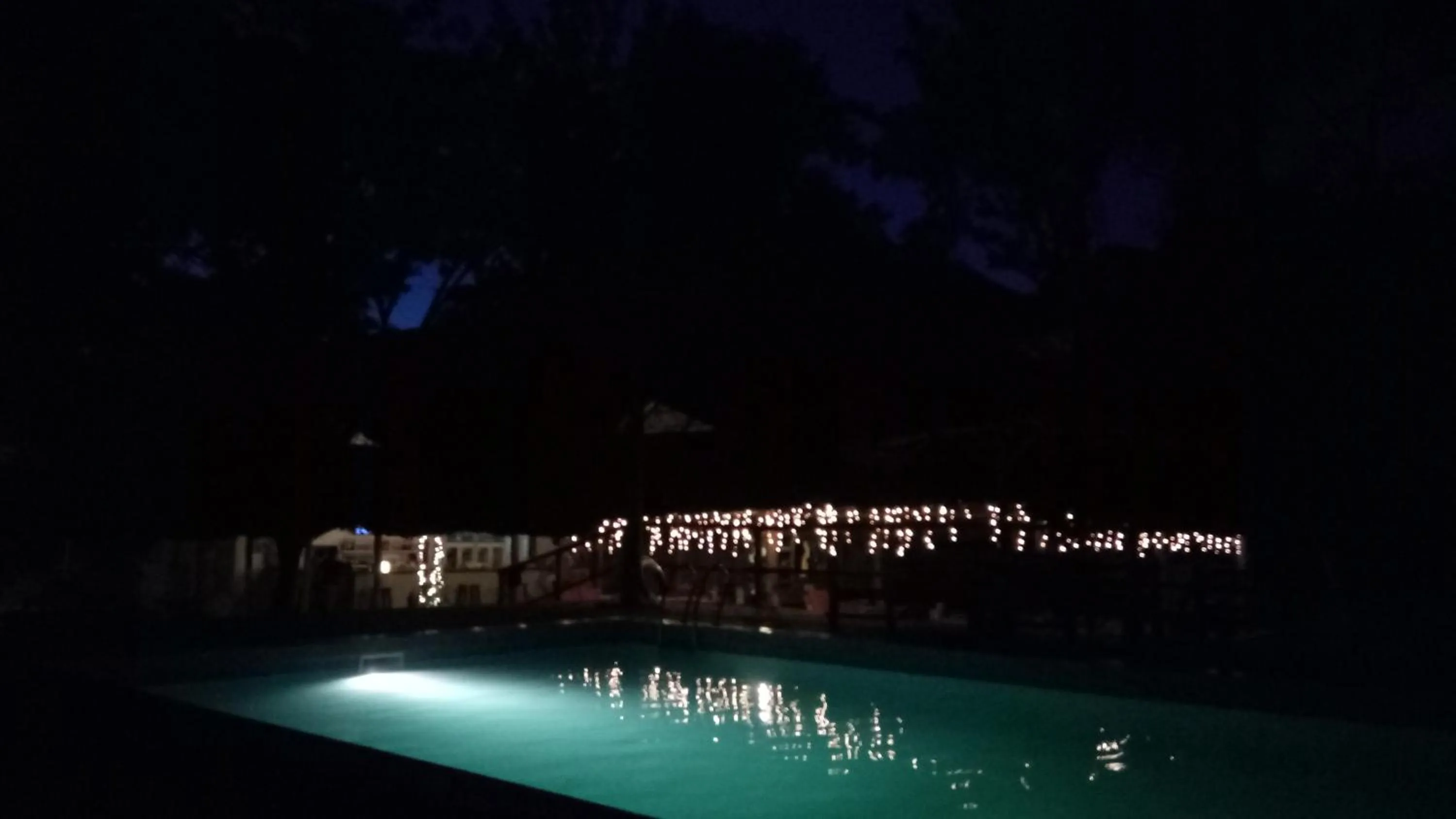 Swimming pool in Honey Badger Lodge