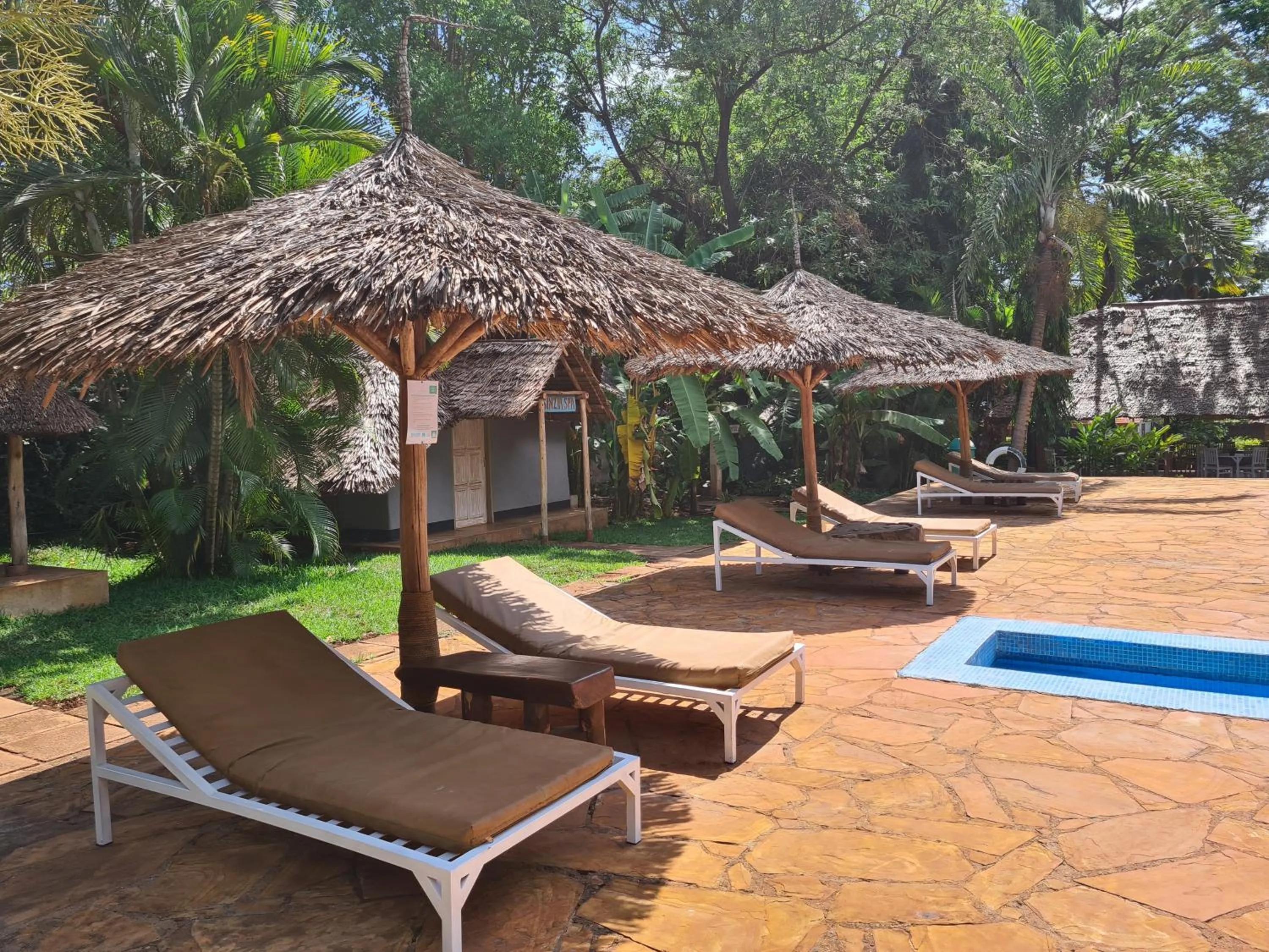 Swimming pool in Honey Badger Lodge