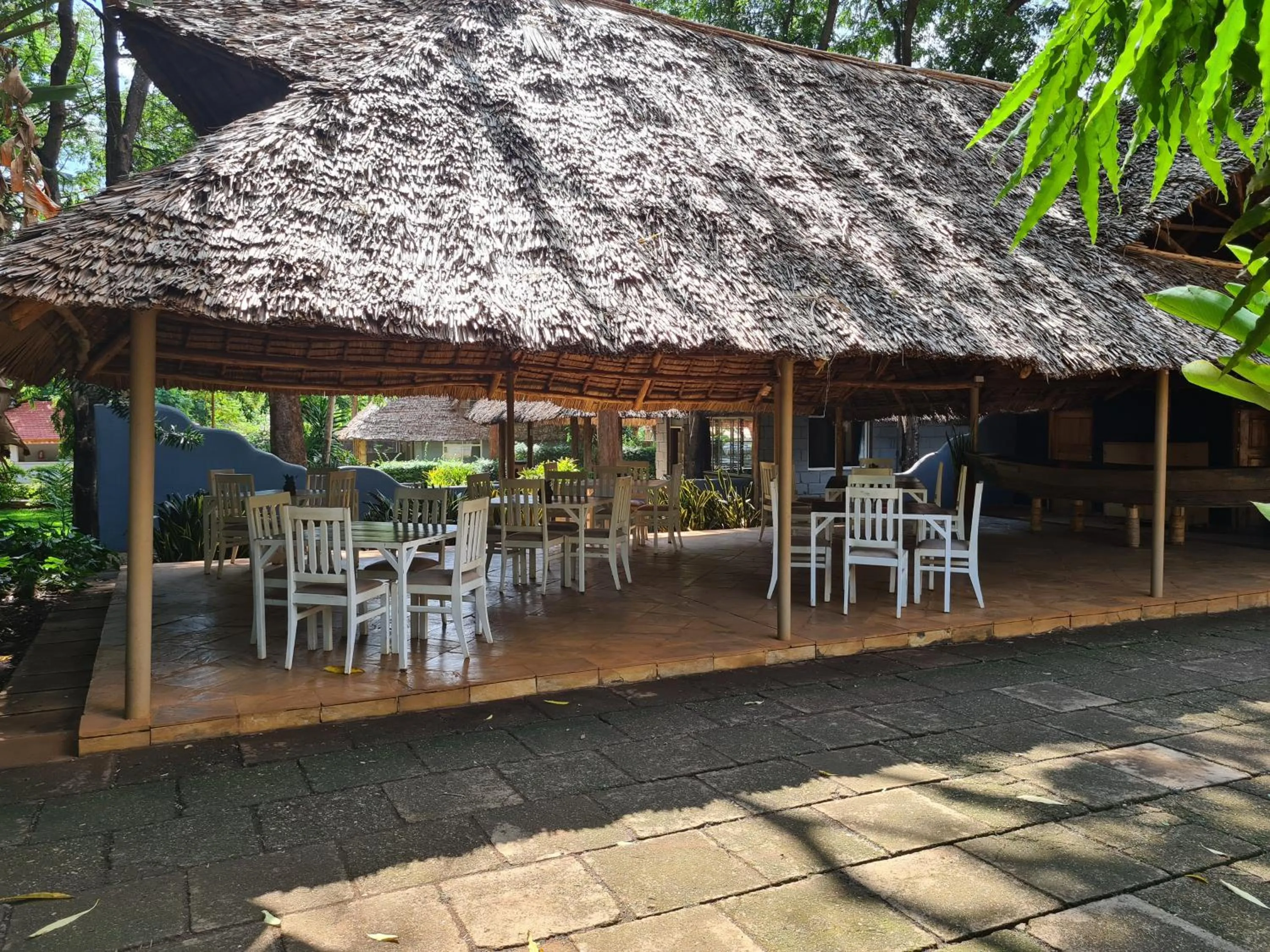 Restaurant/places to eat in Honey Badger Lodge