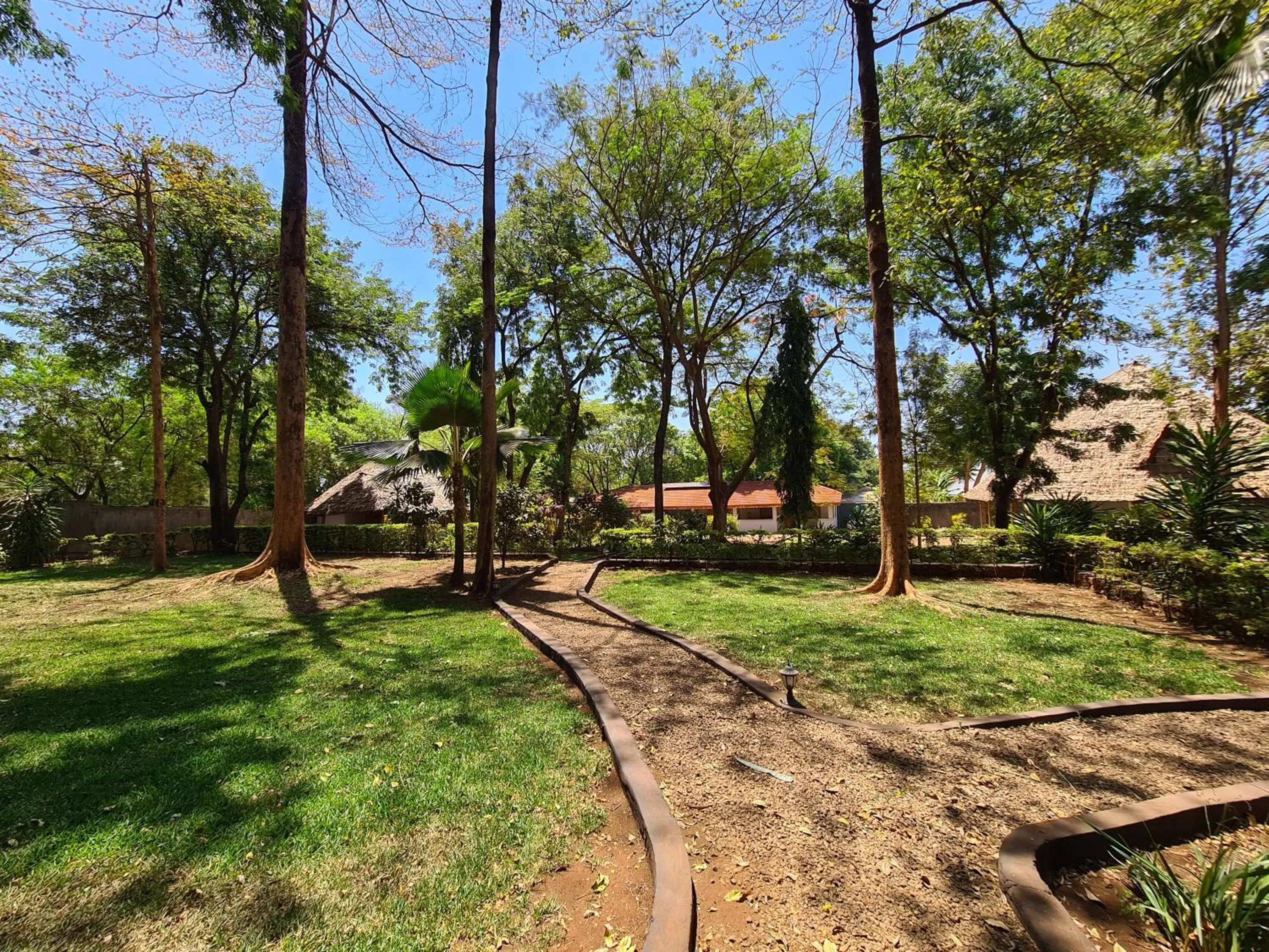 Garden in Honey Badger Lodge