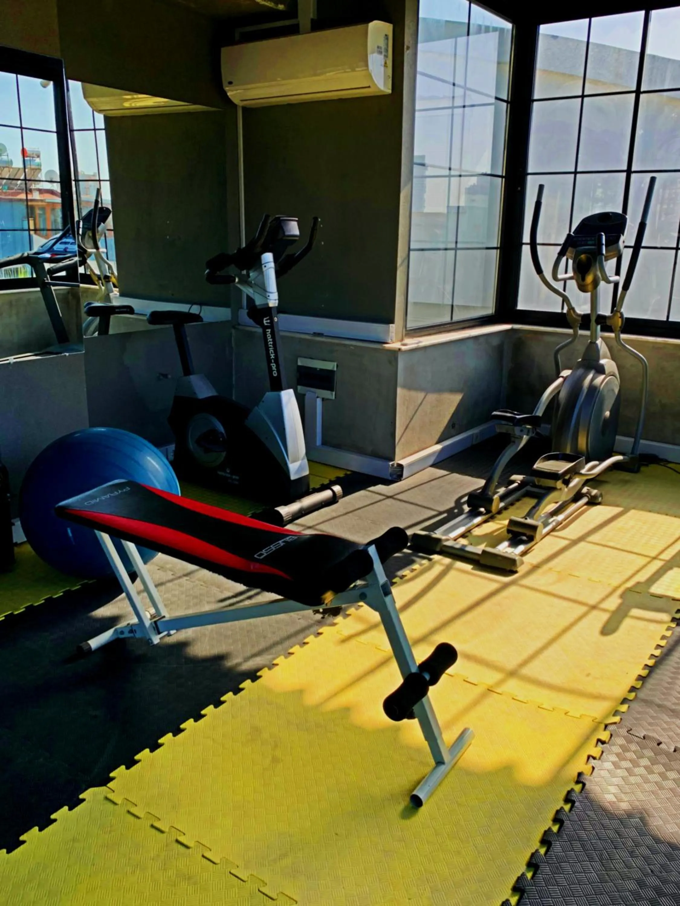Fitness centre/facilities in Basel Hotel