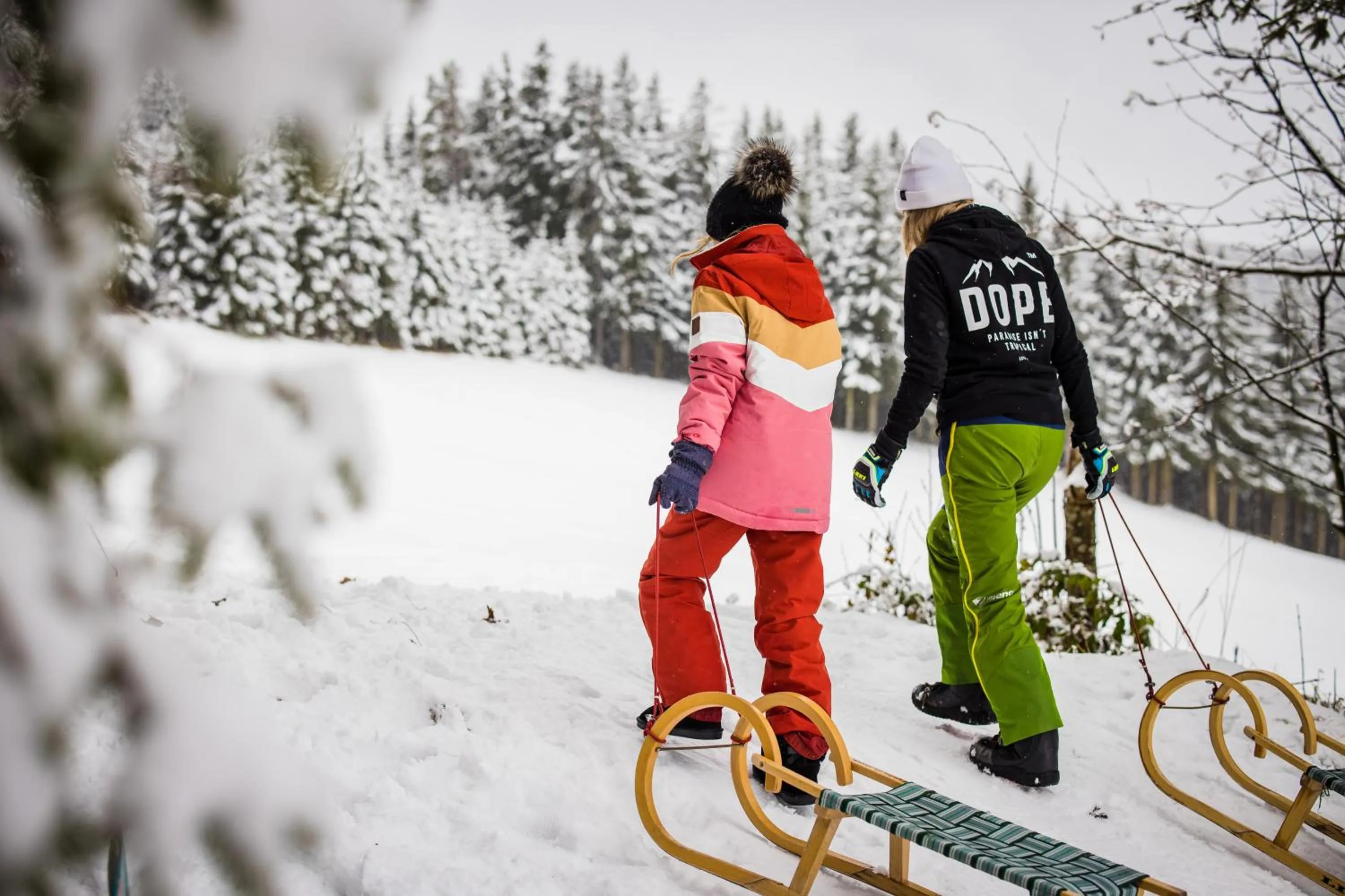 Activities in Der Almblick