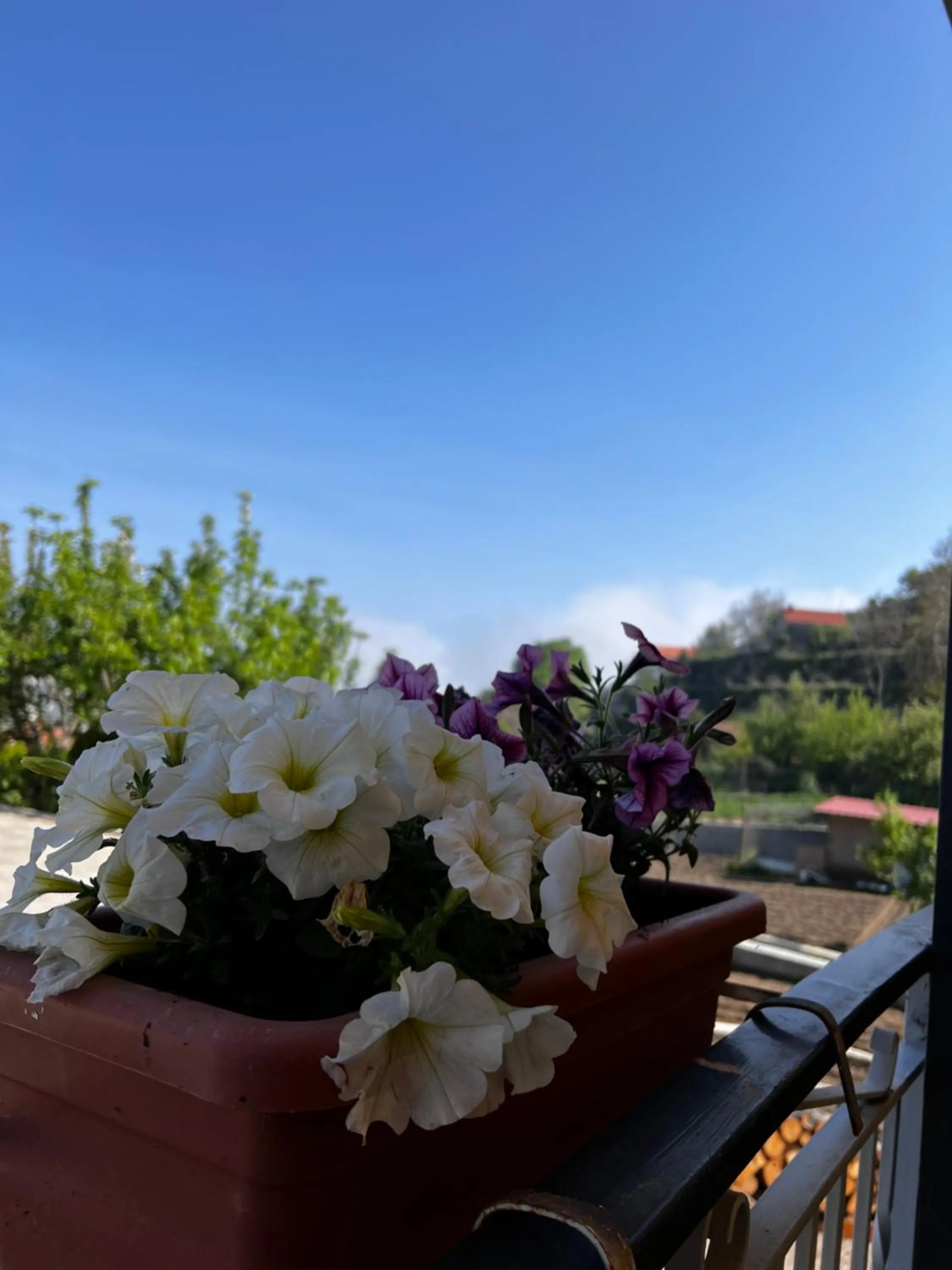 View (from property/room) in Mamaral