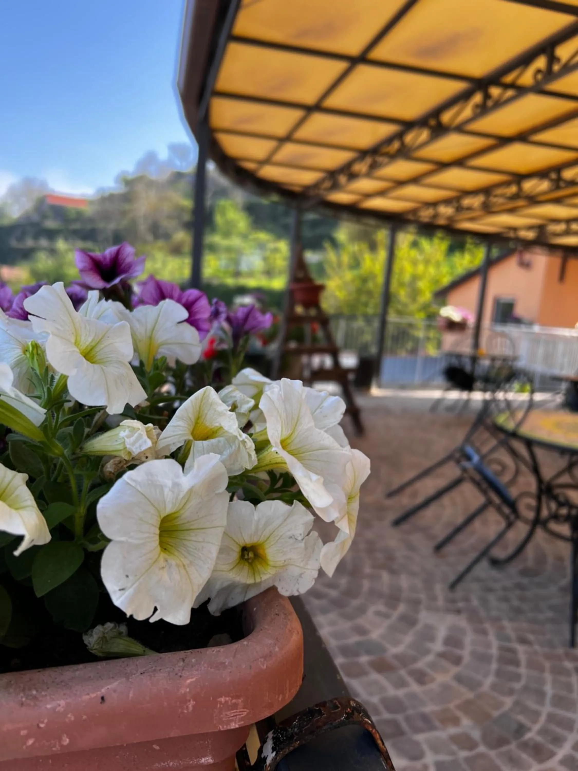 Property building in Mamaral