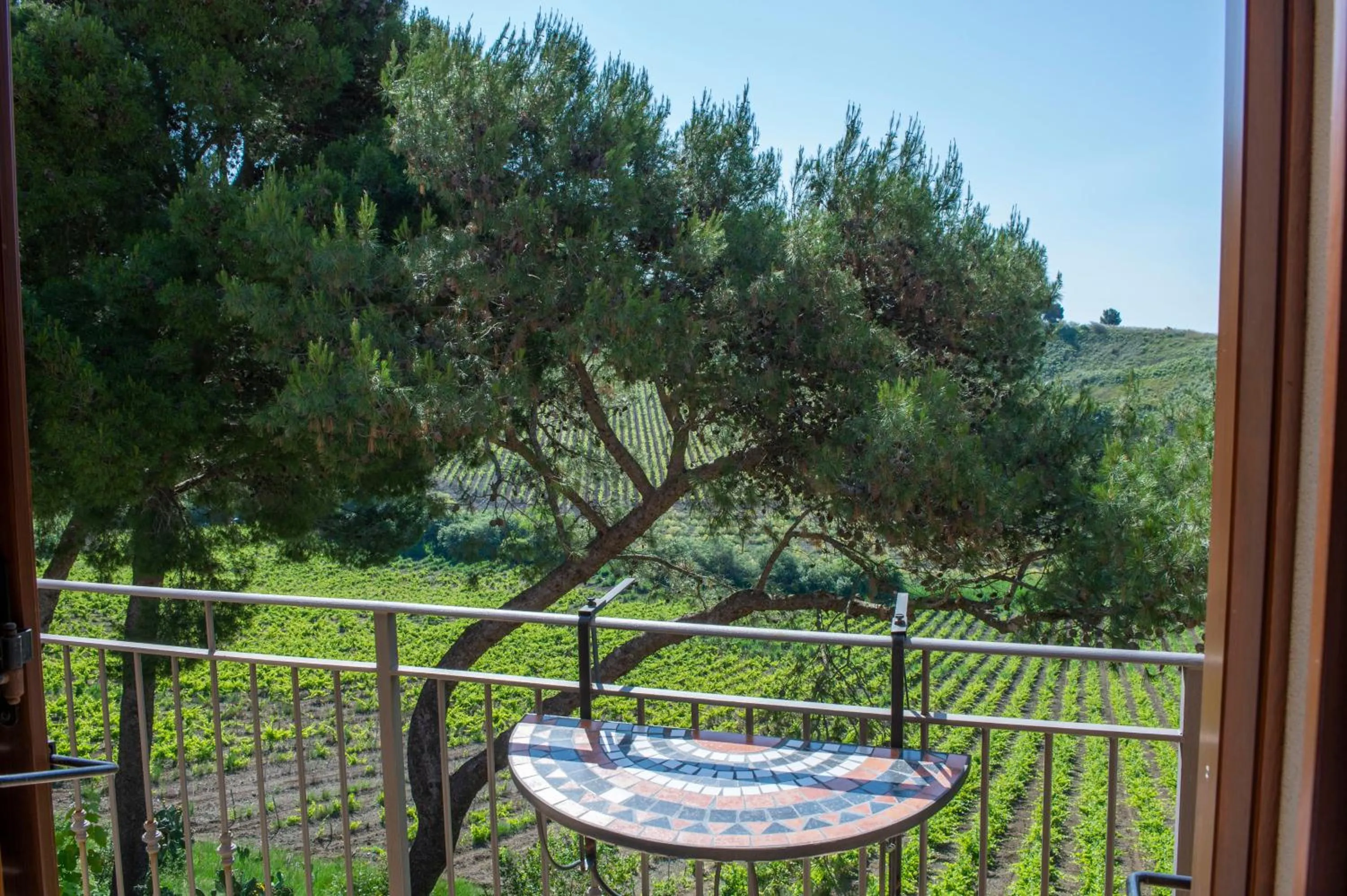 View (from property/room) in Feudo Del Biviere