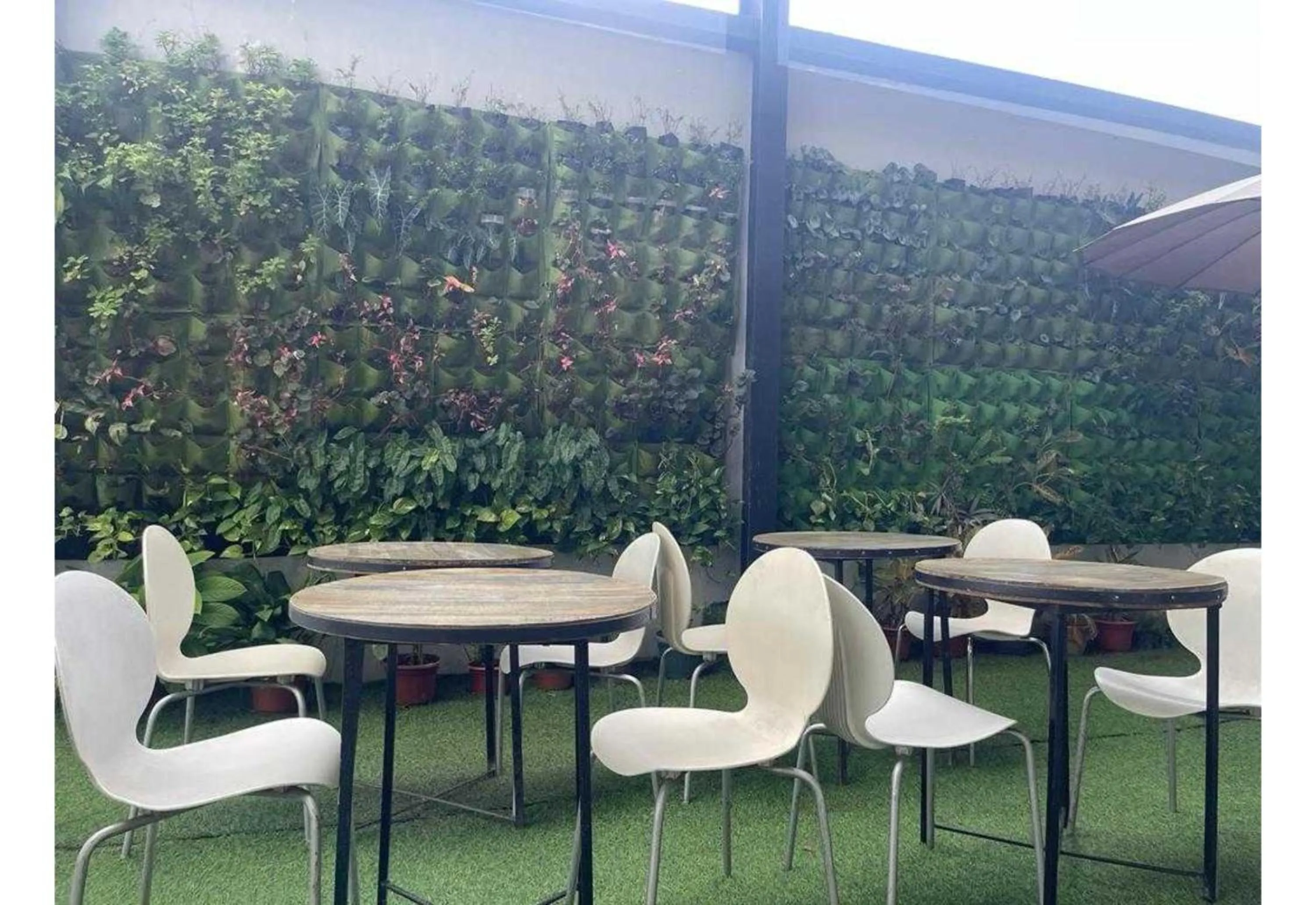 OYO 1008 Armond Bed And Breakfast