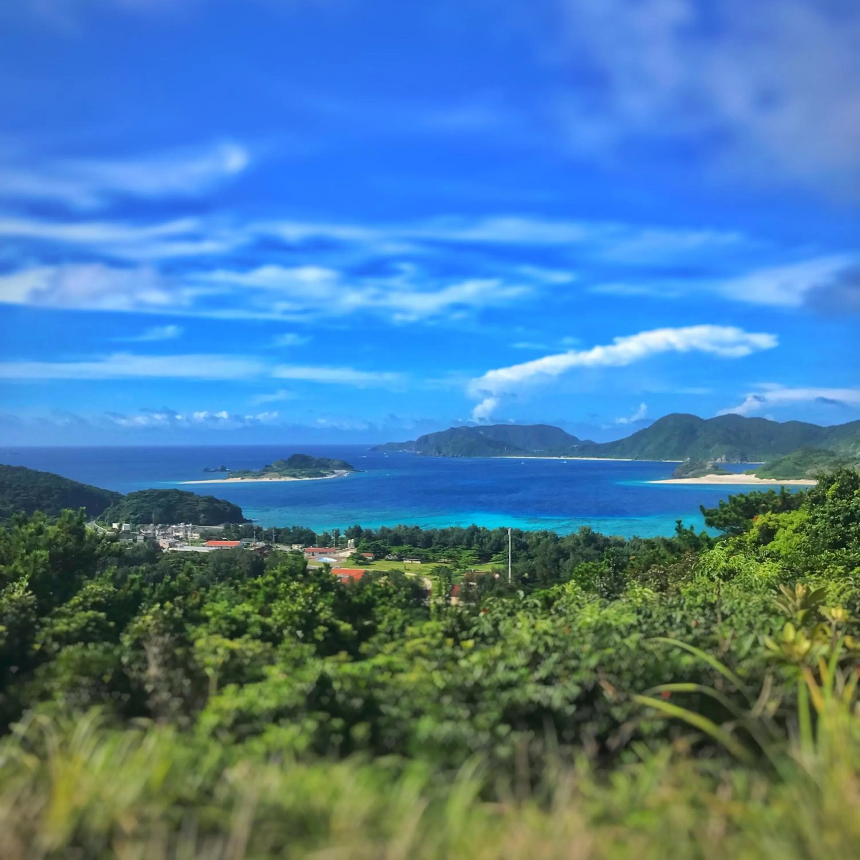 Beach in Zamamia International Guesthouse