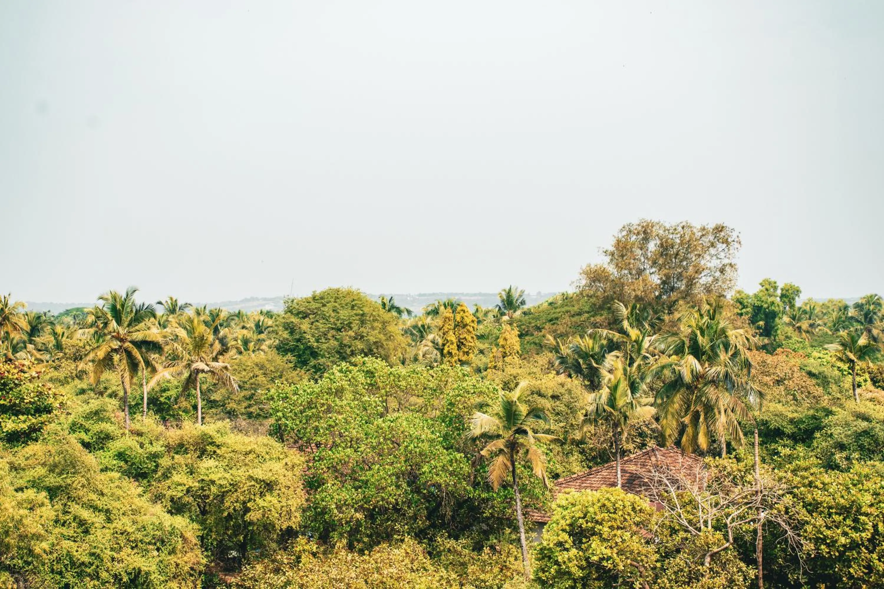 Last Minute Trip Hostel Morjim-By The Sea