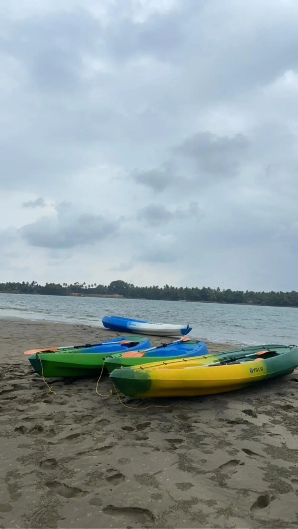 Last Minute Trip Hostel Morjim-By The Sea