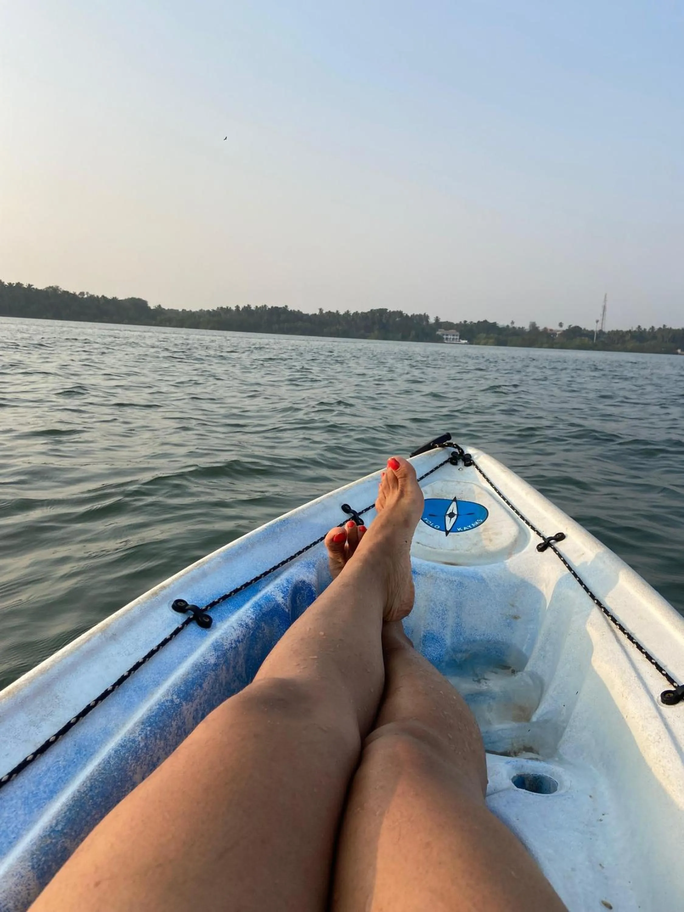 Last Minute Trip Hostel Morjim-By The Sea