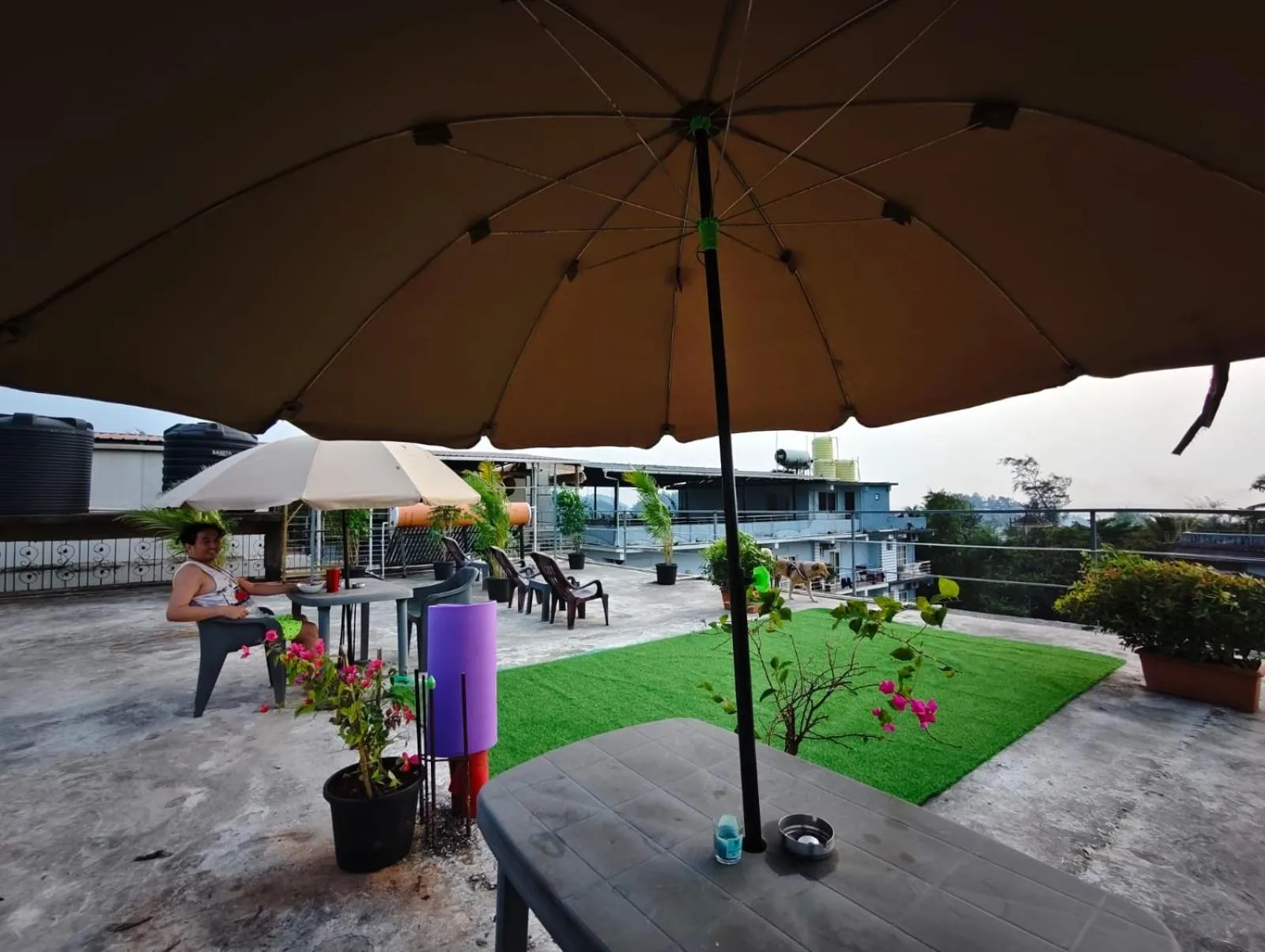 Last Minute Trip Hostel Morjim-By The Sea