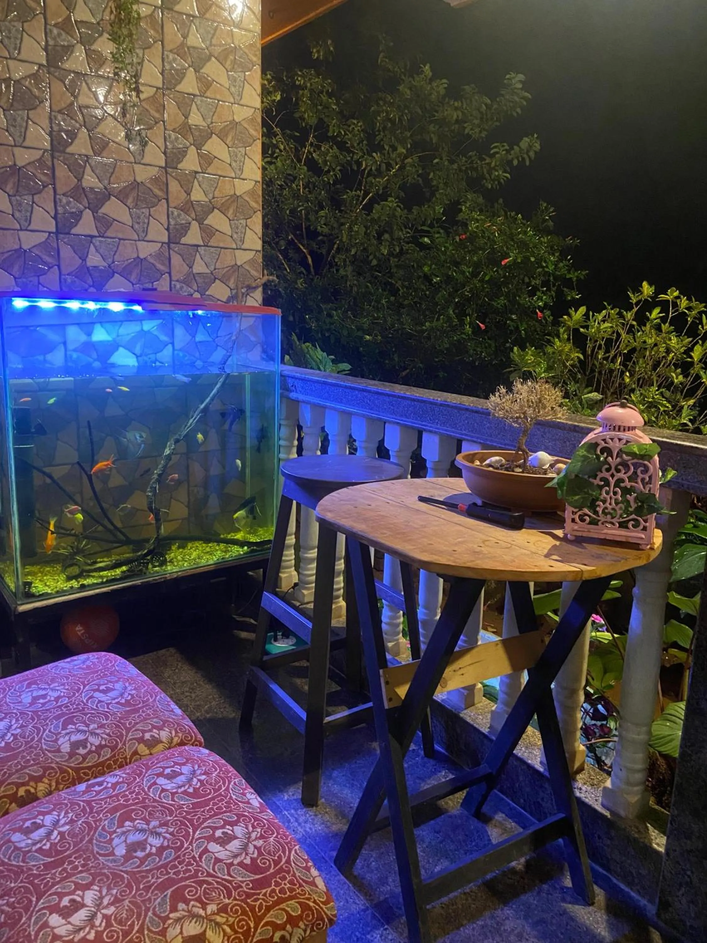 Last Minute Trip Hostel Morjim-By The Sea