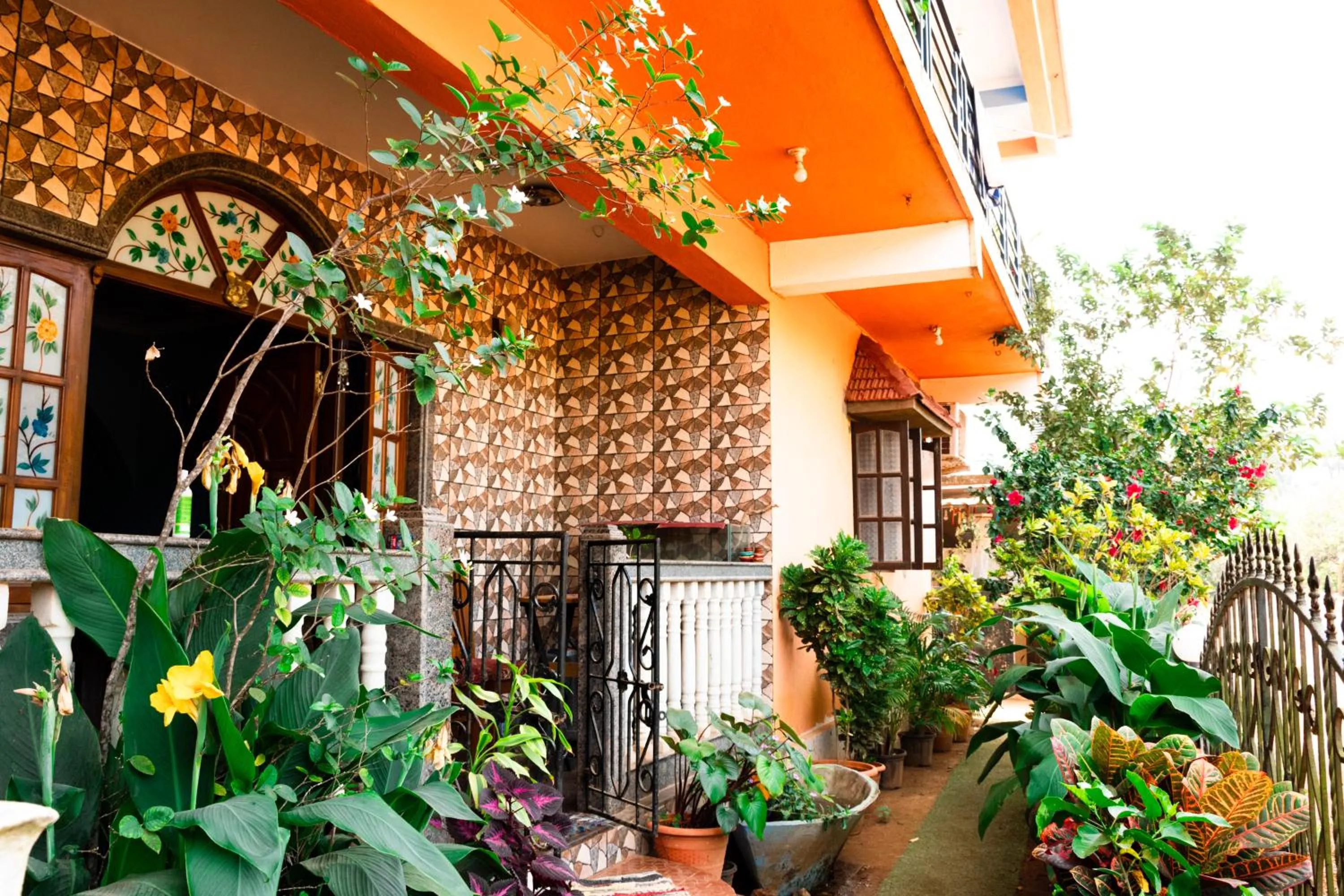 Last Minute Trip Hostel Morjim-By The Sea