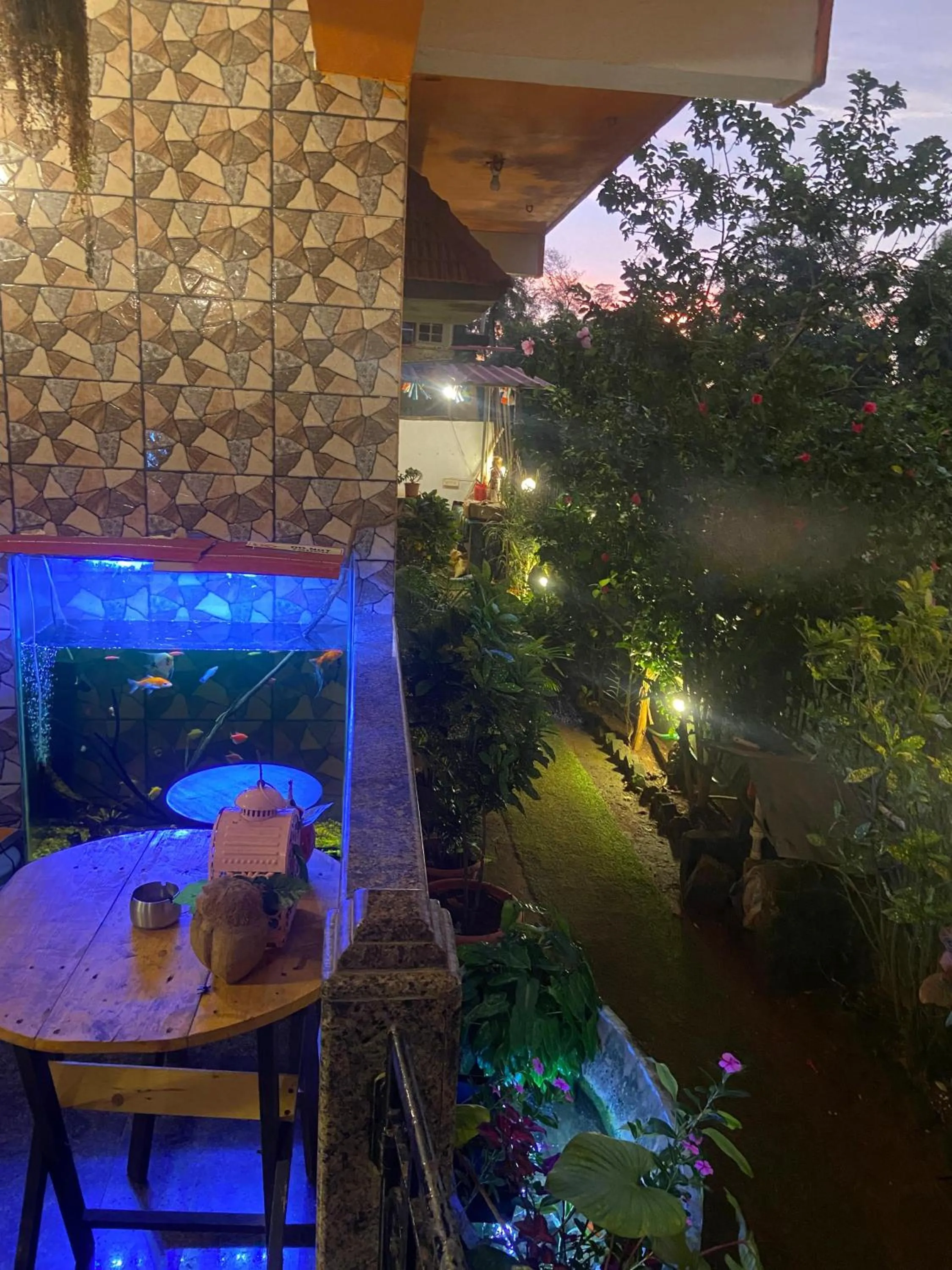 Last Minute Trip Hostel Morjim-By The Sea