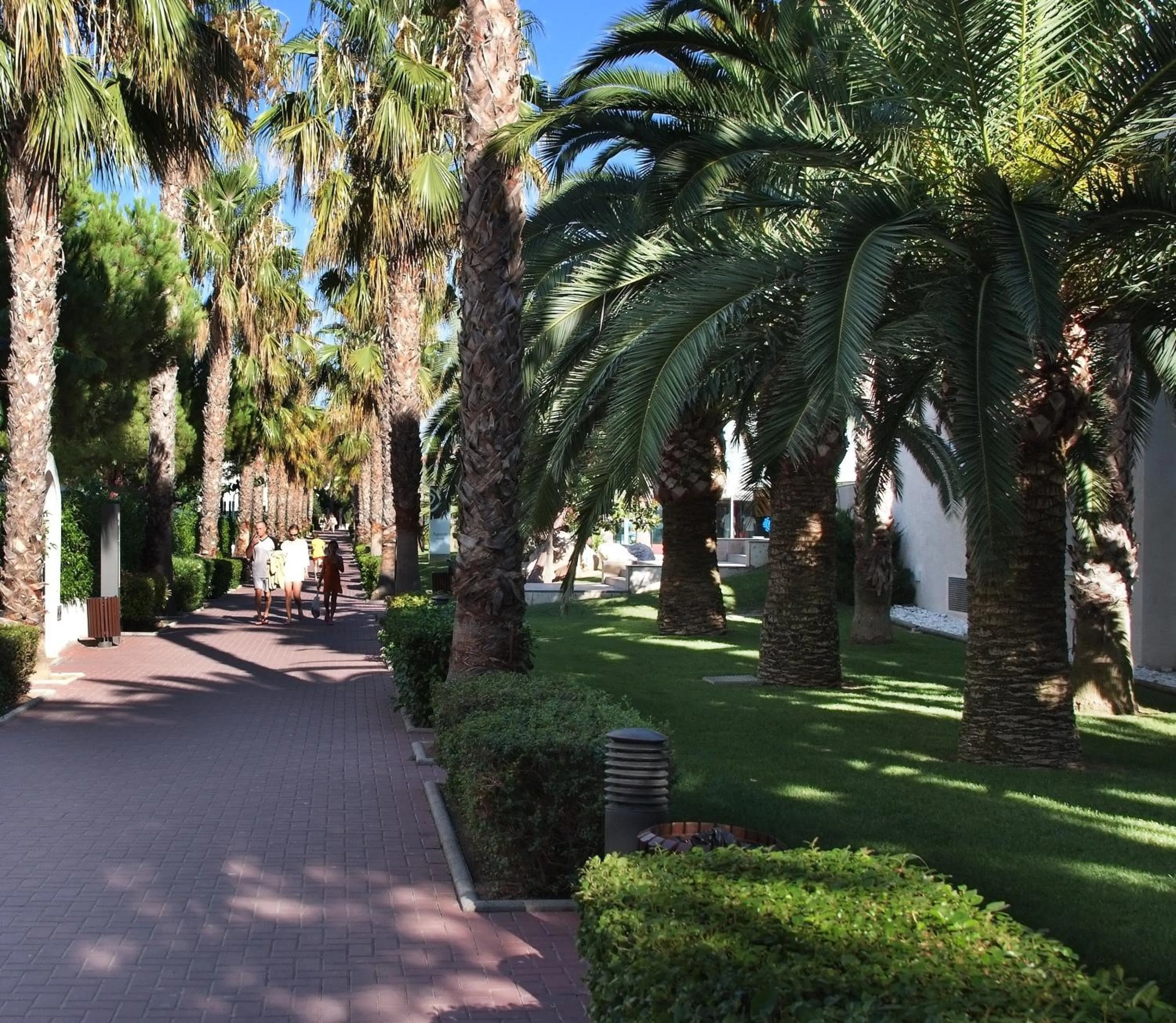 Area and facilities in Apartamentos Estival Park