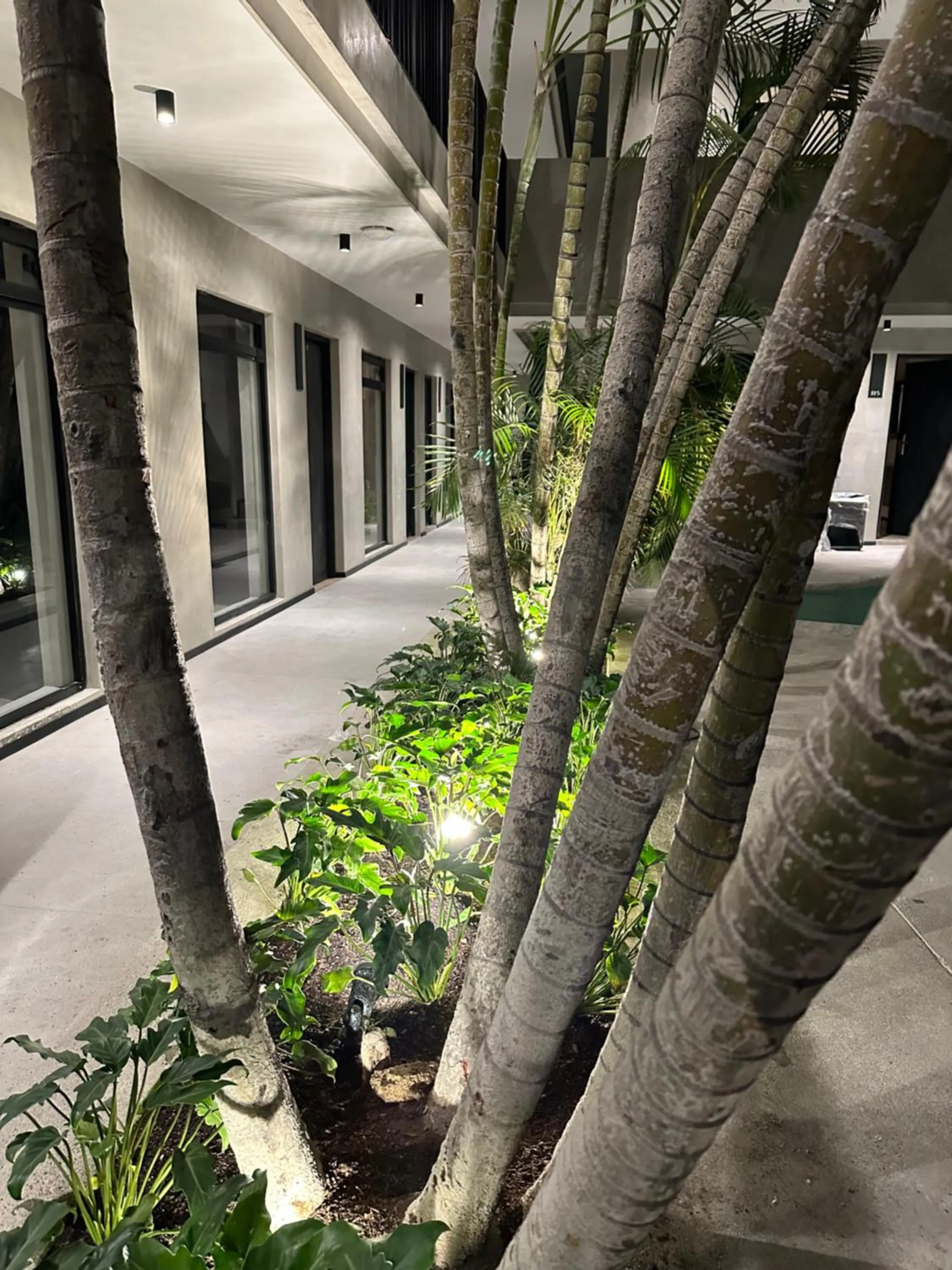 Garden in Hotel Alcala Expo