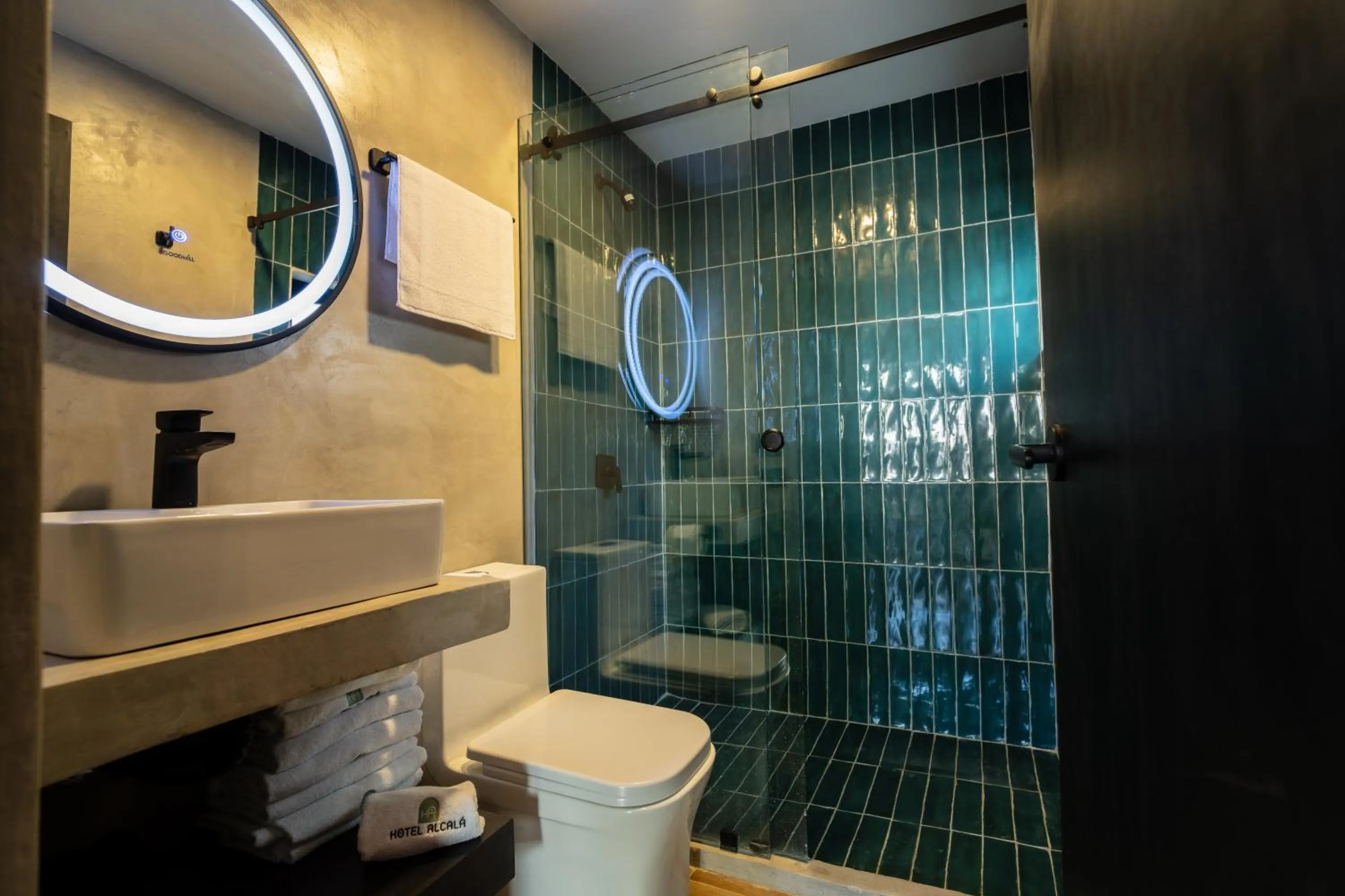 Shower in Hotel Alcala Expo