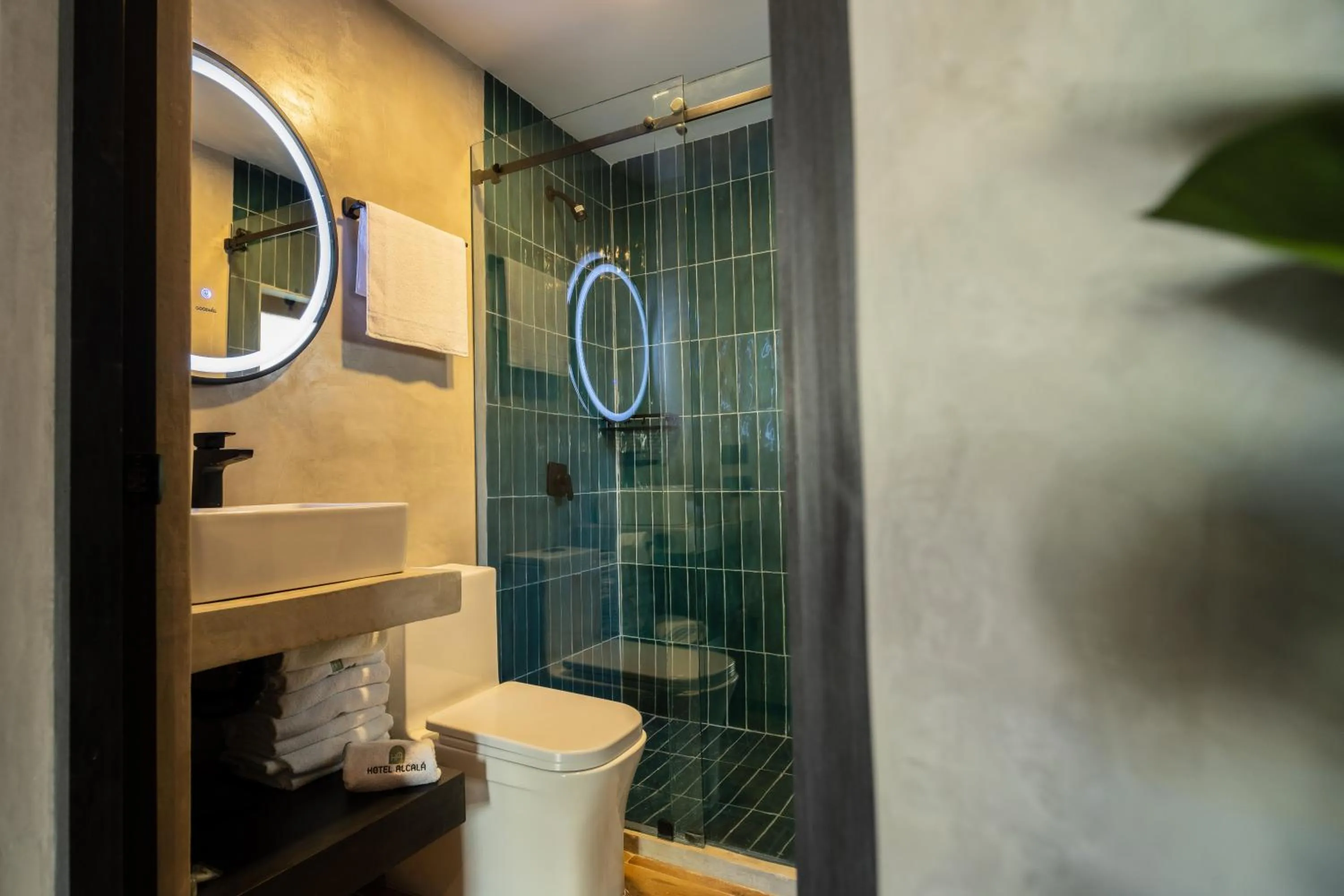 Shower in Hotel Alcala Expo