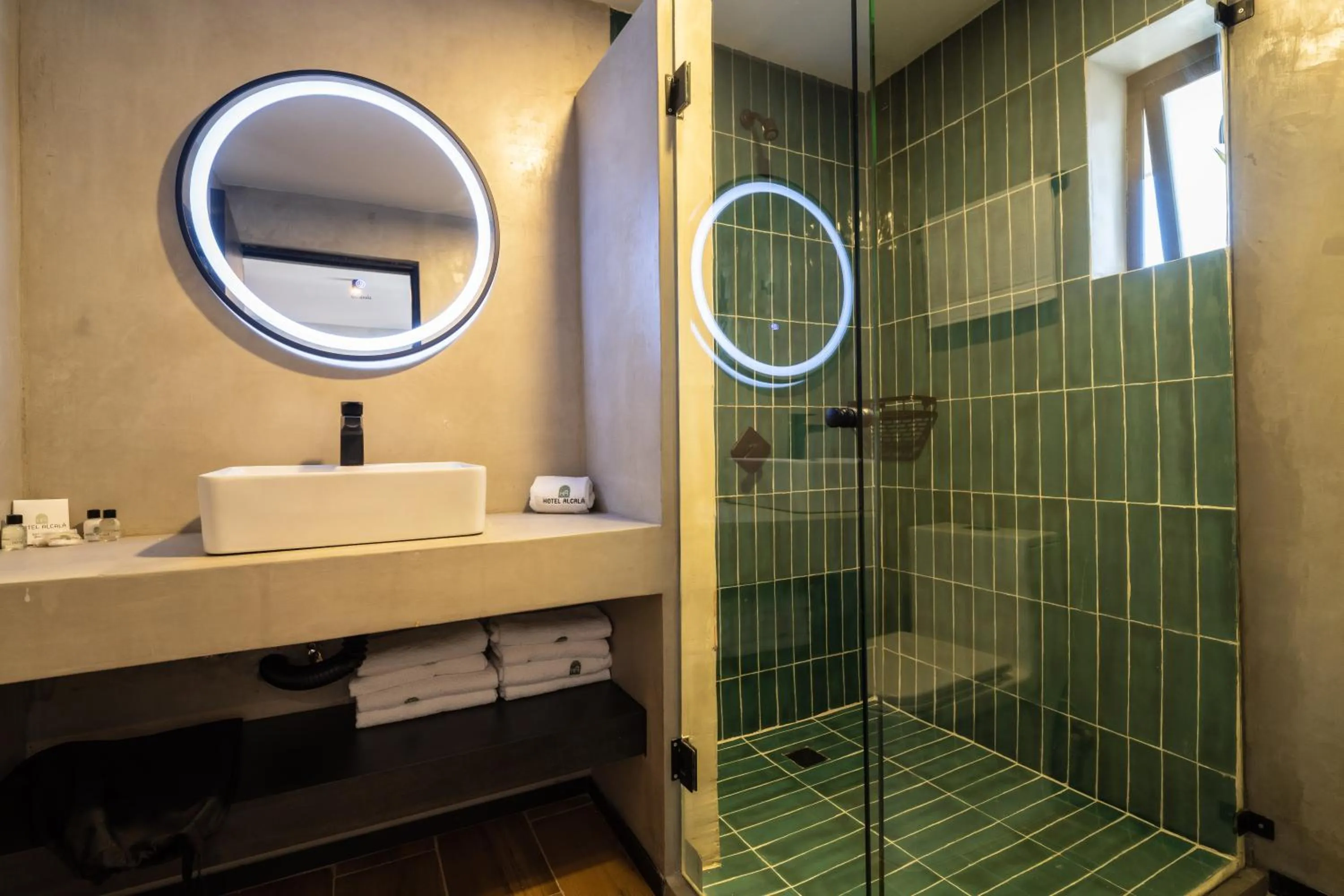 Shower in Hotel Alcala Expo