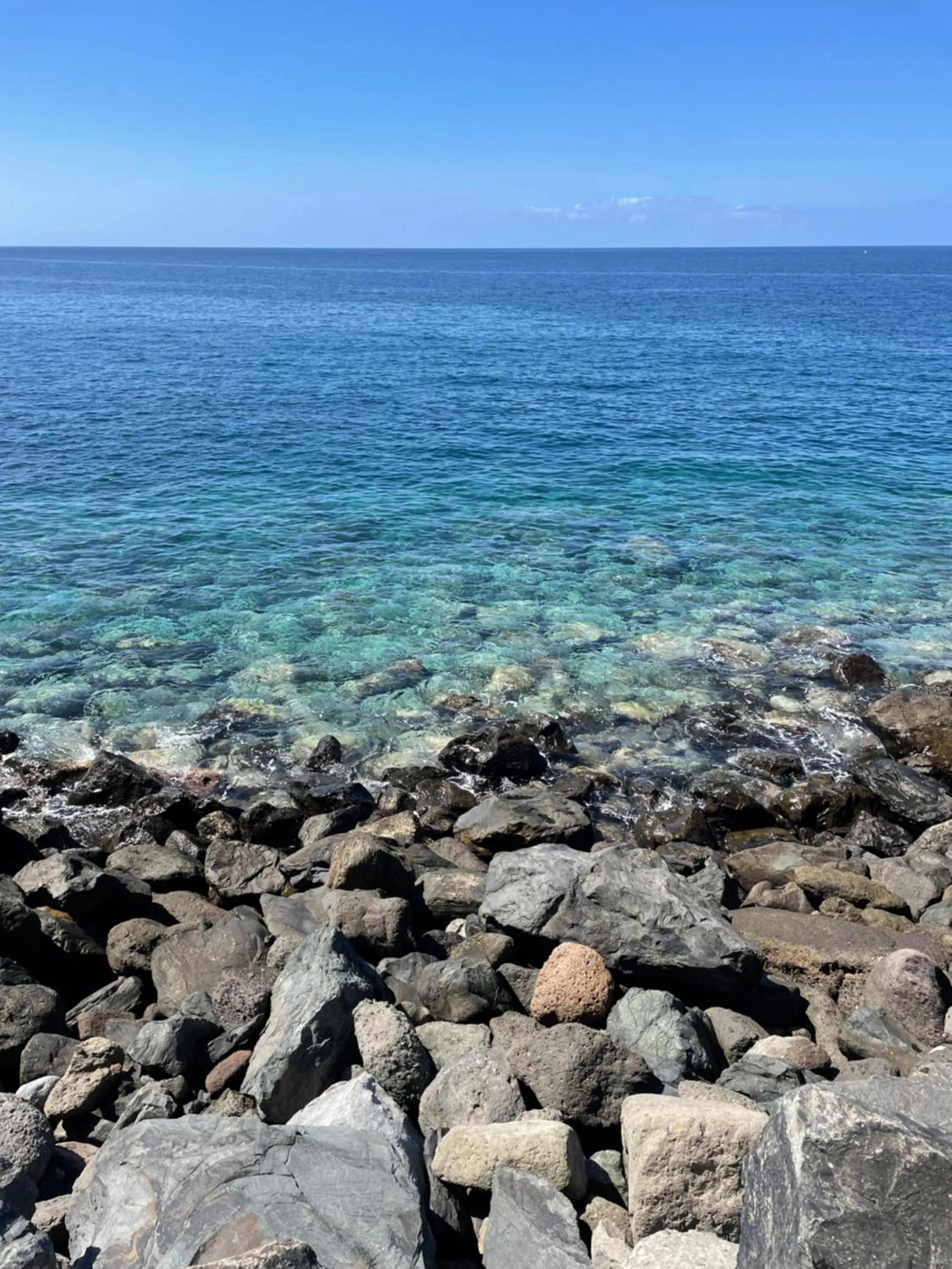 Natural landscape in PURA VIDA Beach Suite