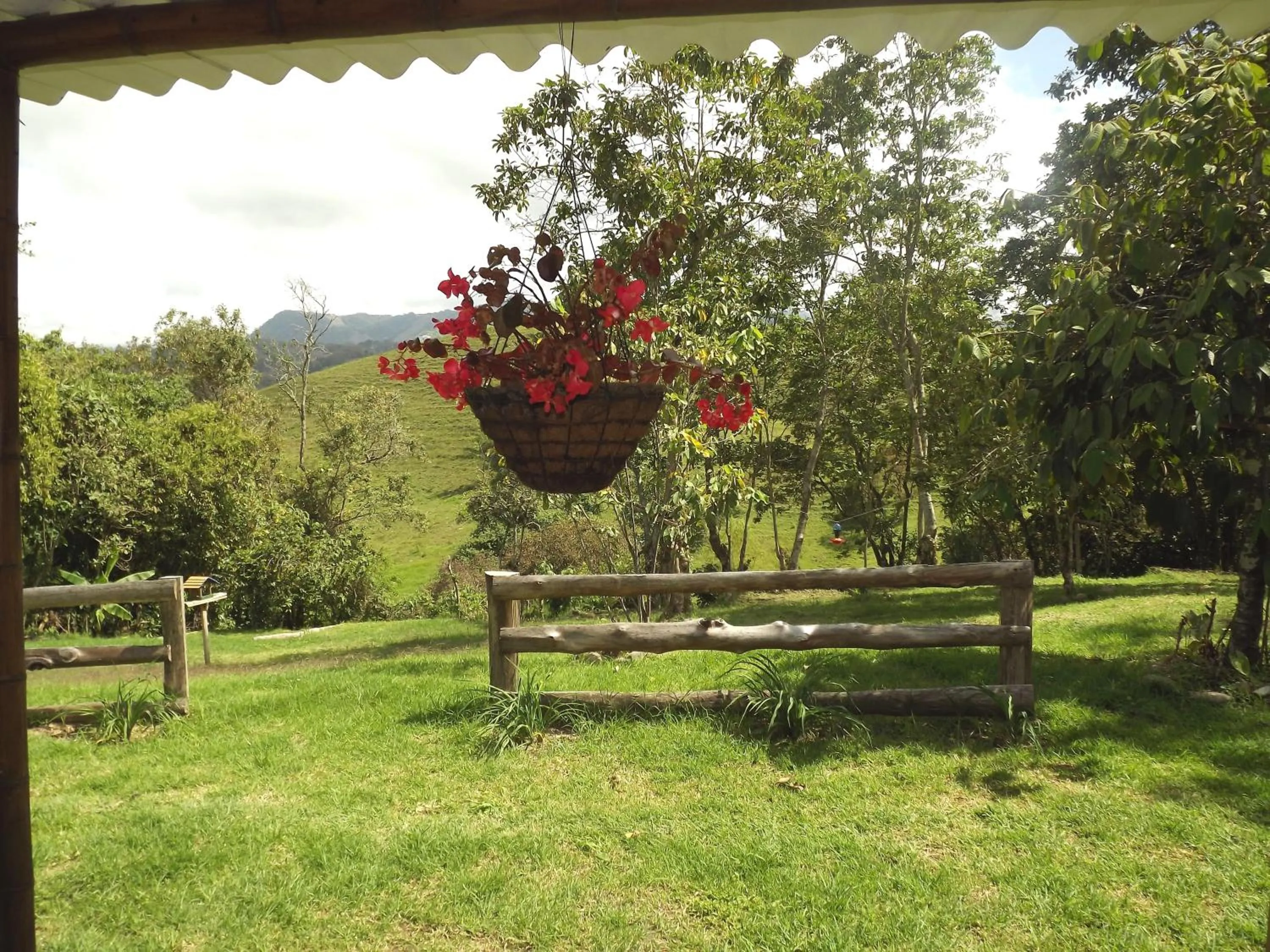 Facade/entrance in El ZORZAL