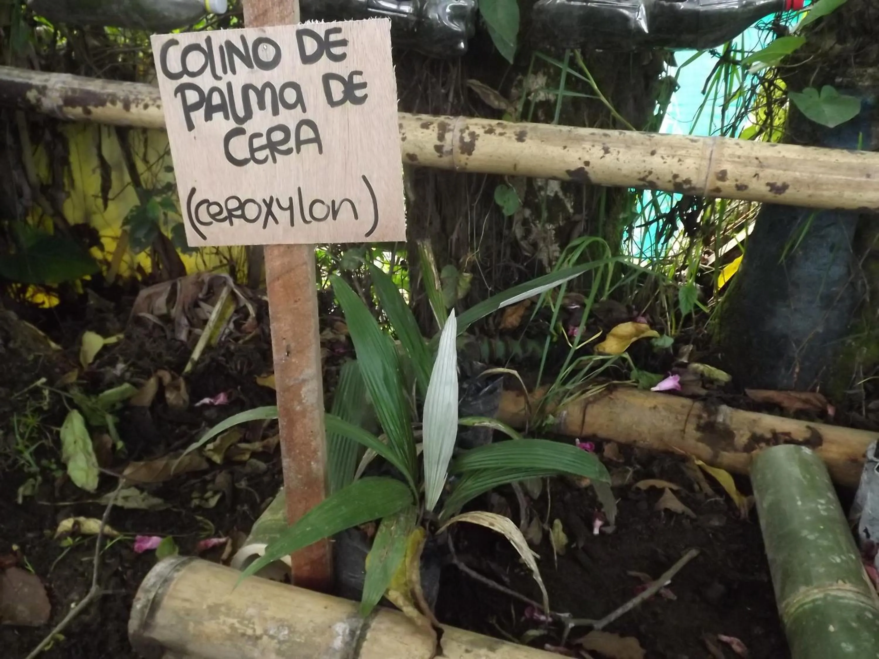 Area and facilities in El ZORZAL