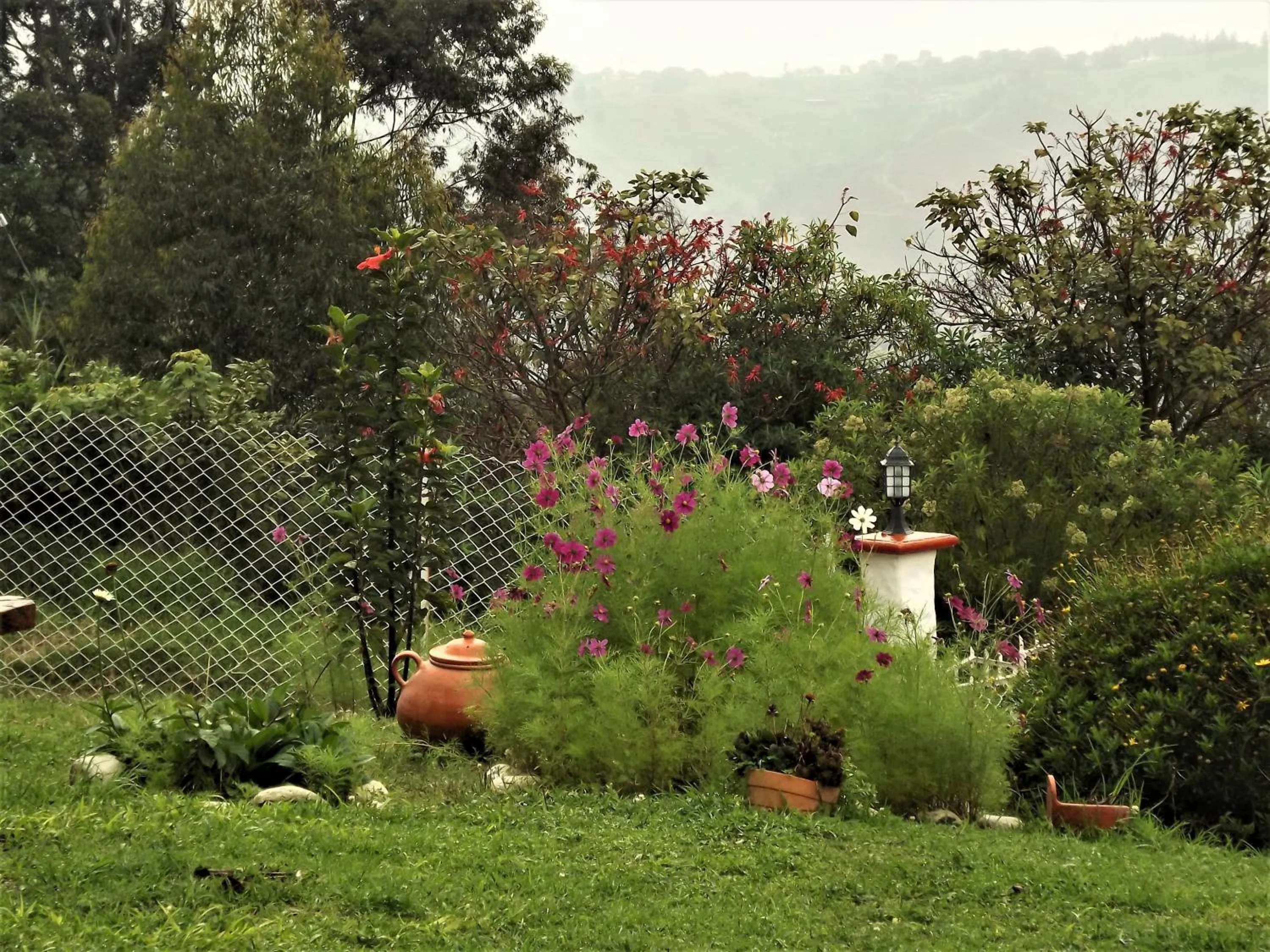 Mountain view in El ZORZAL