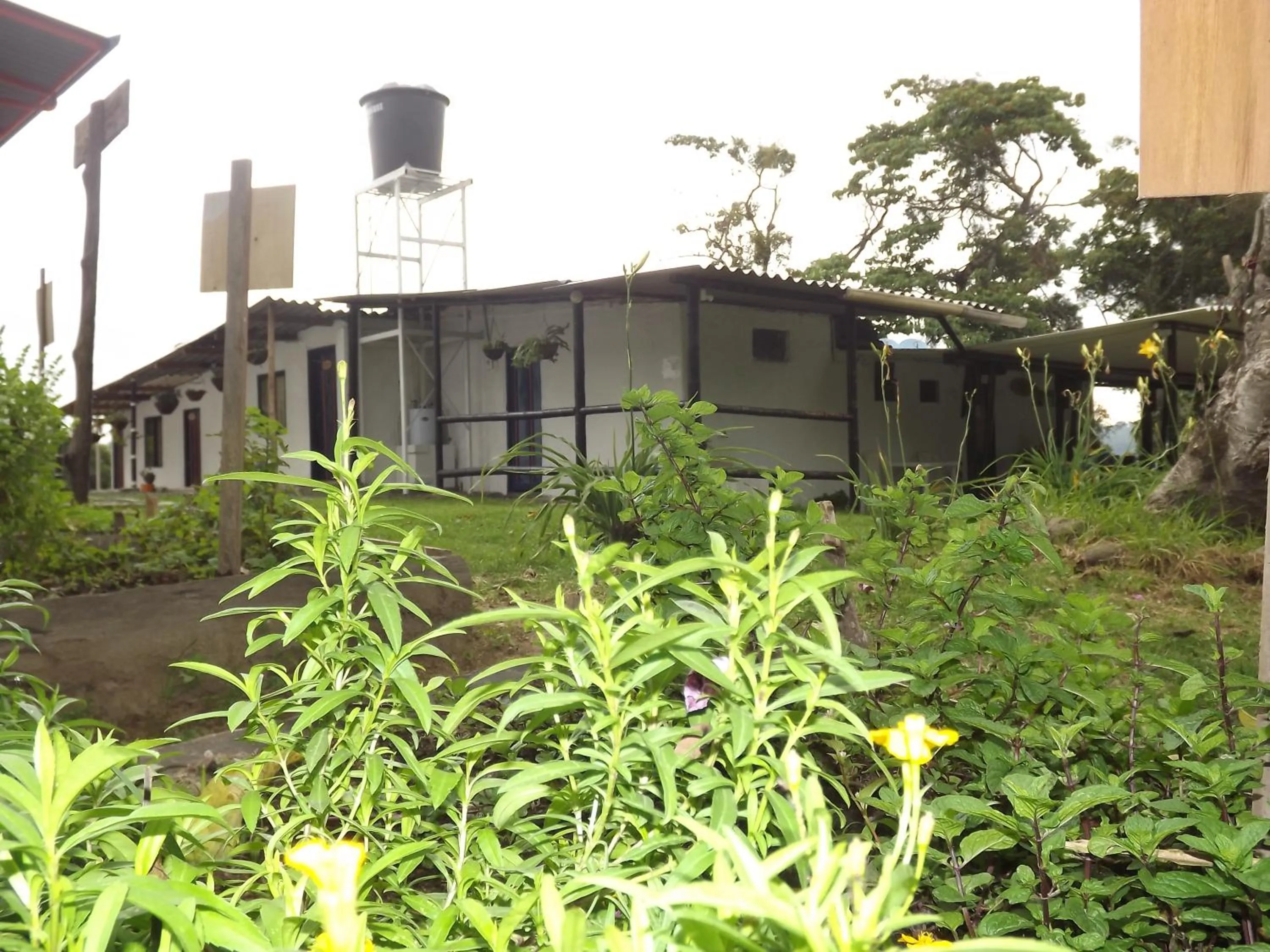 Property building in El ZORZAL