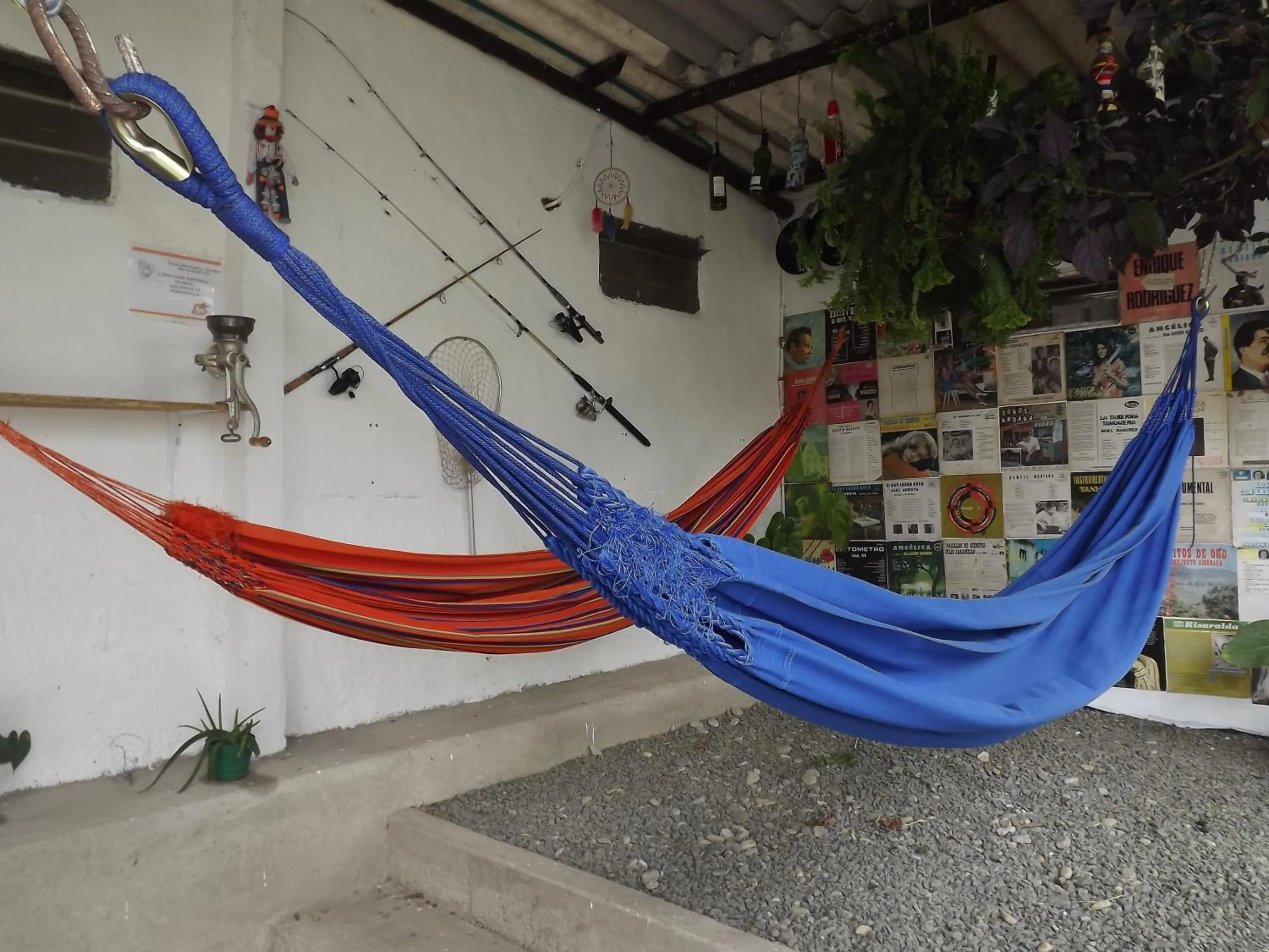 Activities in El ZORZAL