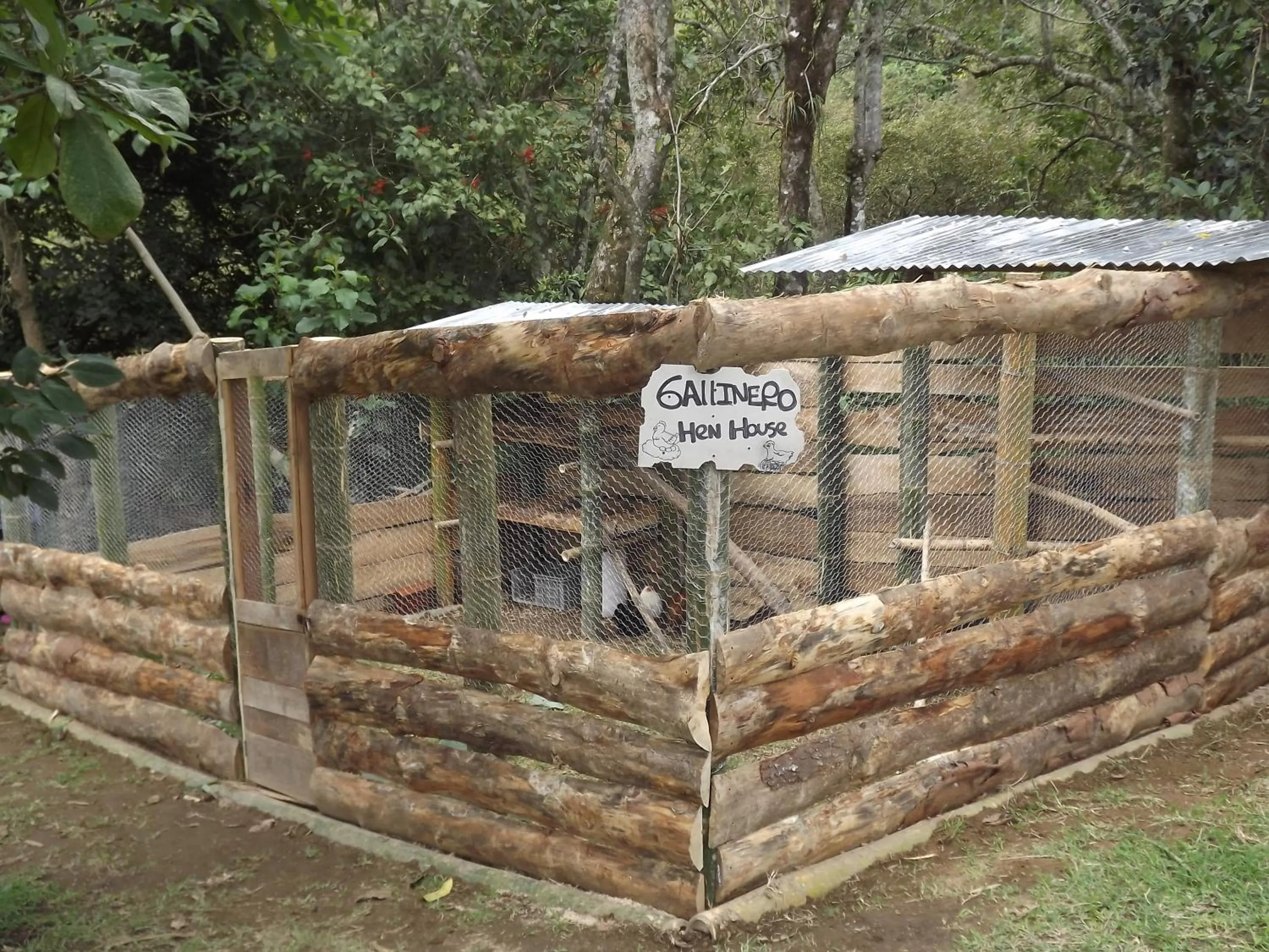 Animals in El ZORZAL