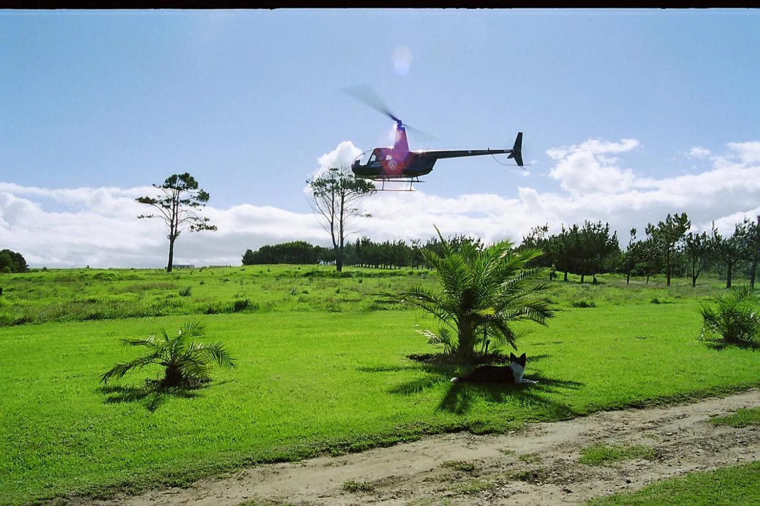 Day in Tsitsikamma on Sea Resort