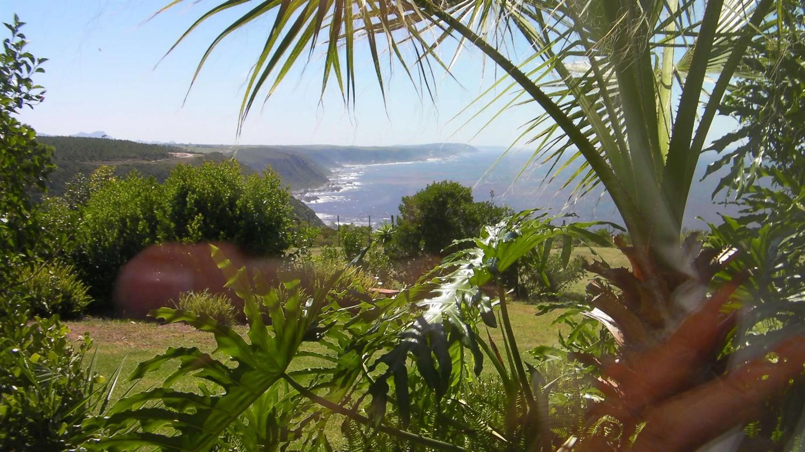Natural landscape in Tsitsikamma on Sea Resort