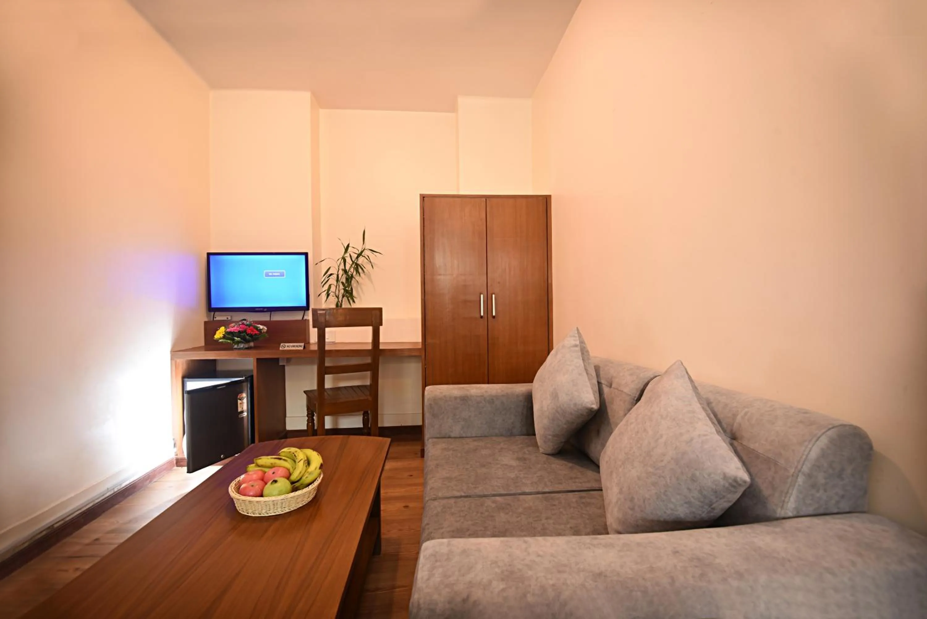 TV and multimedia in Hotel Amaryllis Kathmandu