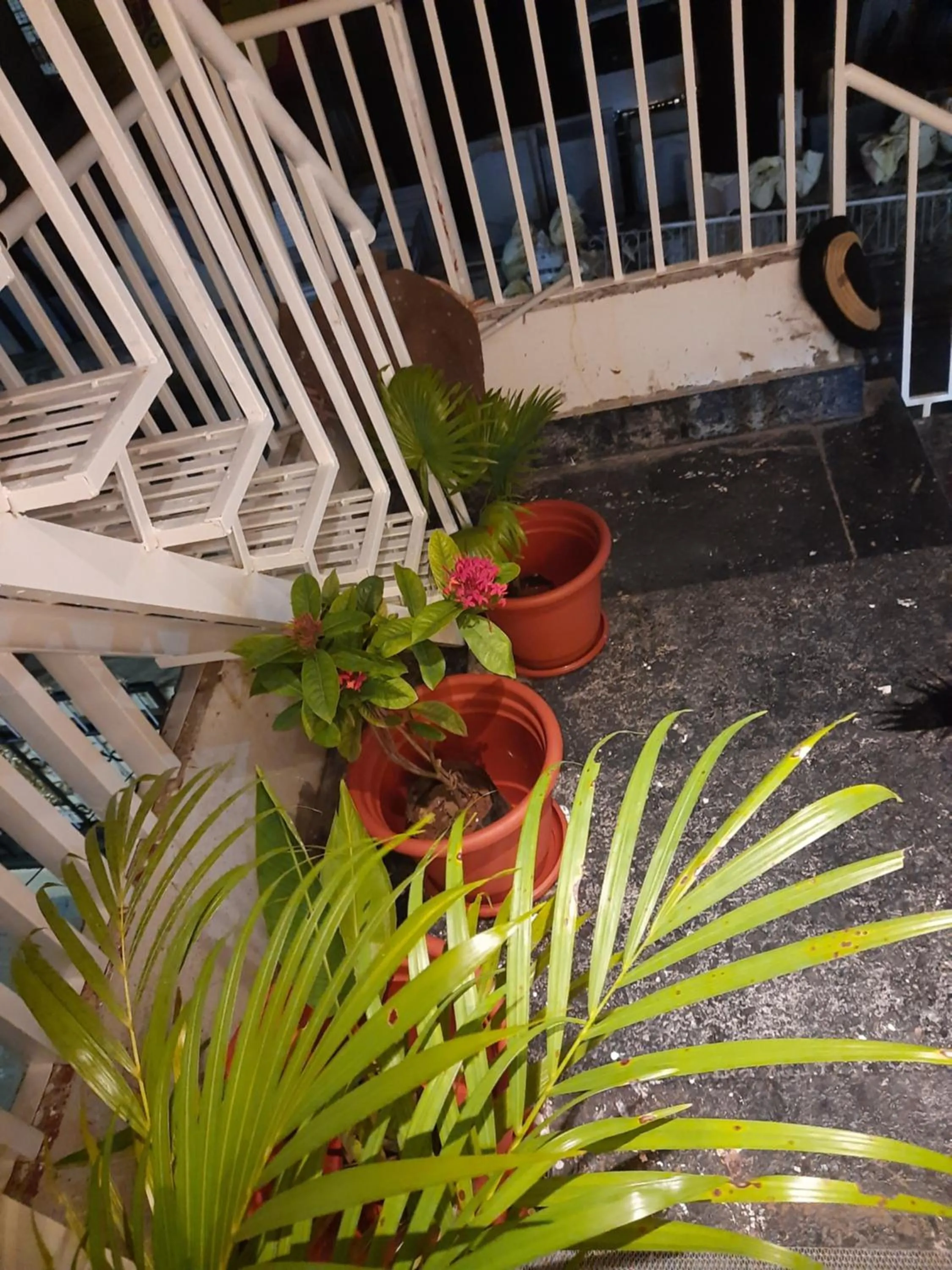 Day in Shriguru Guest House Akkalkot