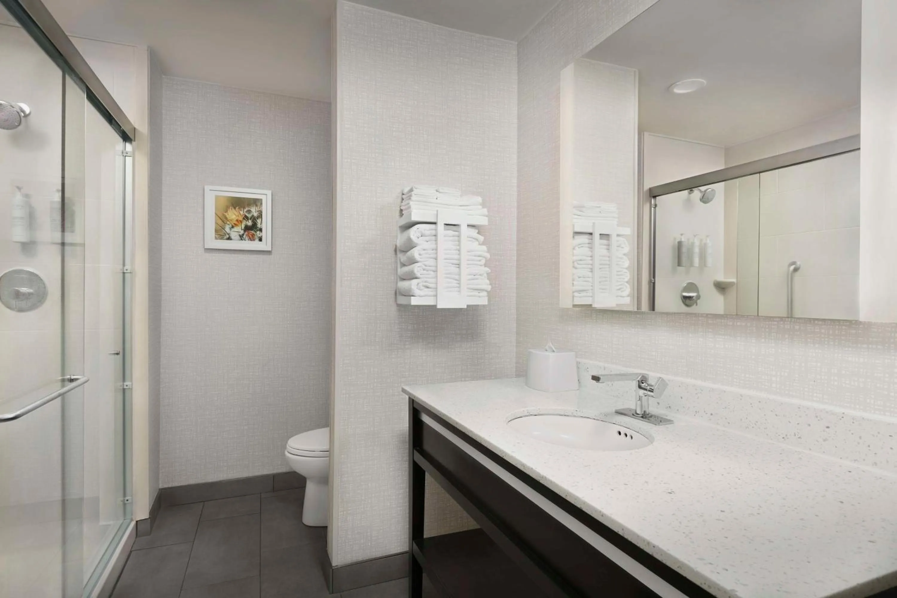 Bathroom in Hampton Inn & Suites El Paso/East