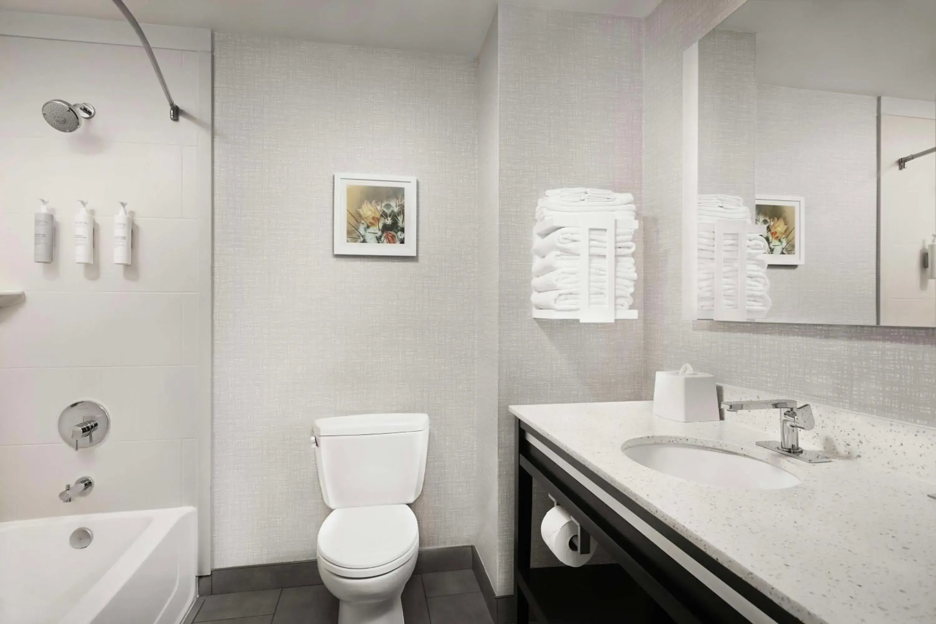 Premium Queen Studio with Two Queen Beds - Non-Smoking in Hampton Inn & Suites El Paso/East Premium Queen Studio with Two Queen Beds - Non-Smoking in Hampton Inn & Suites El Paso/East