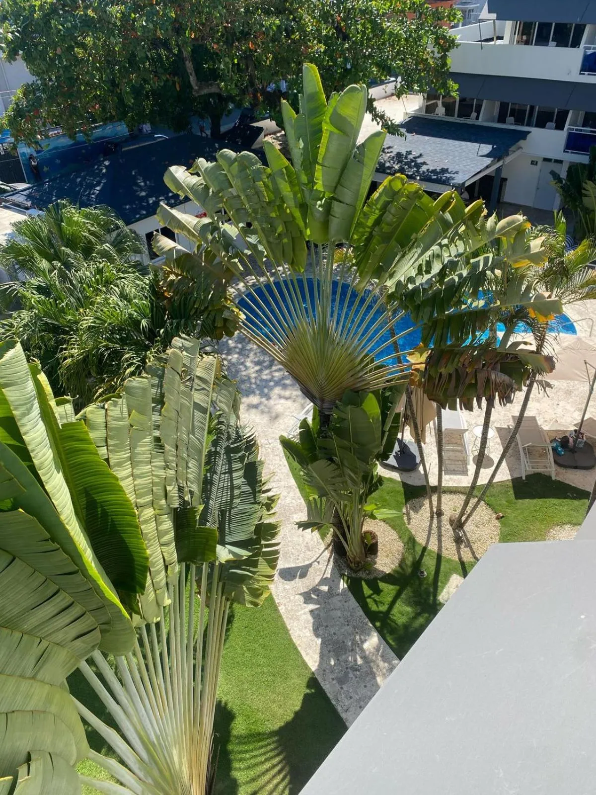 Garden in New Garden Hotel