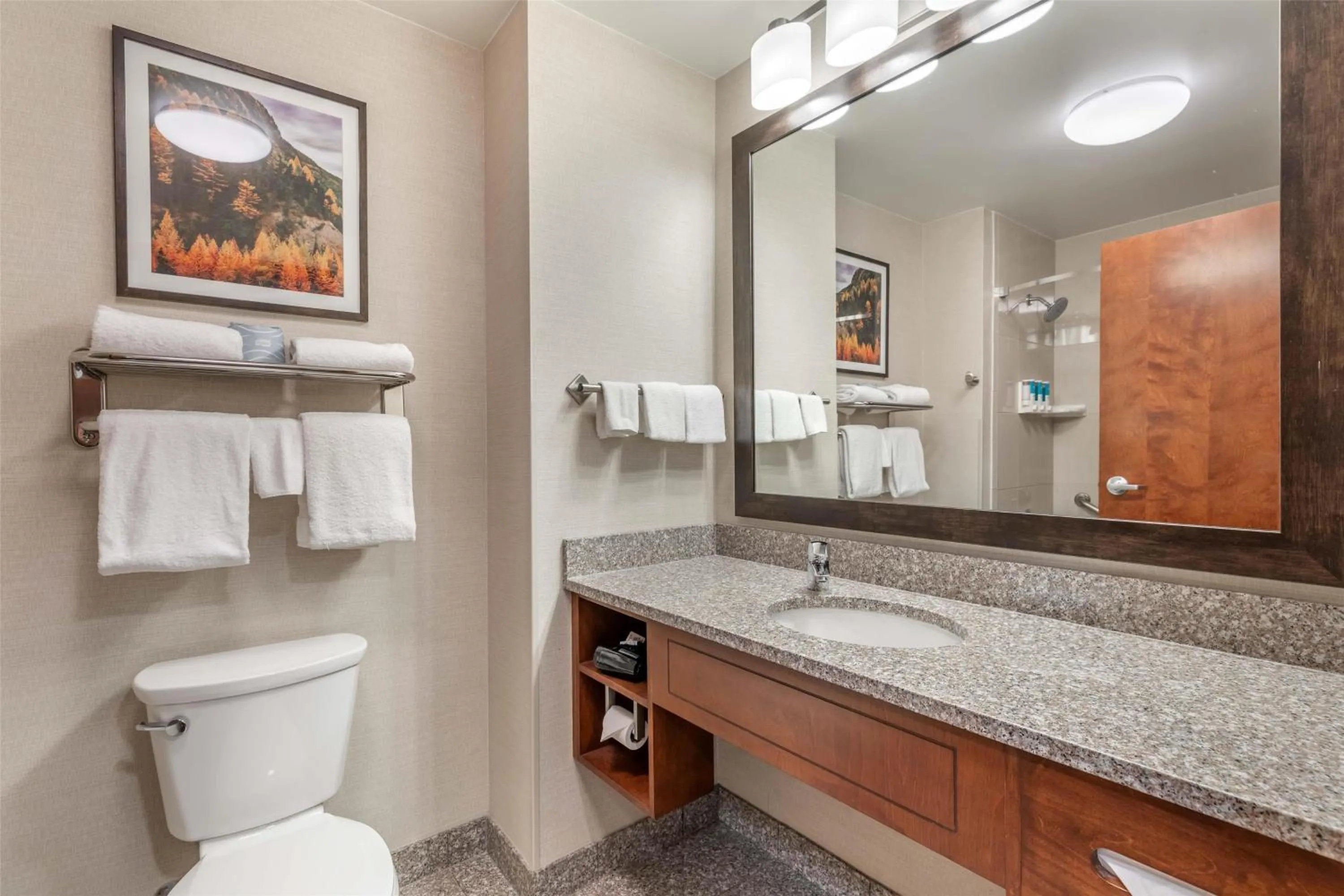 Bathroom in Drury Plaza Hotel Denver Central Park