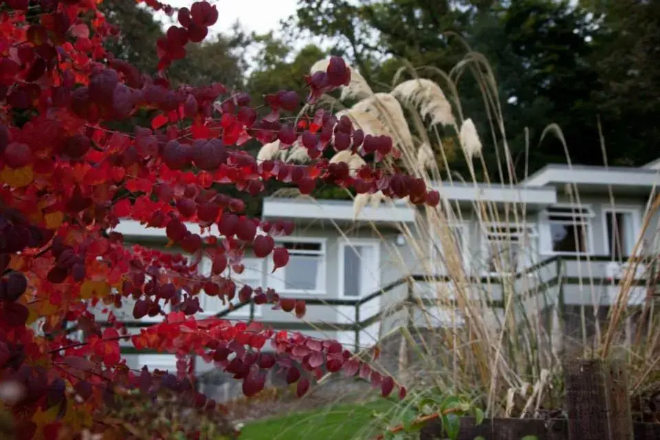 Sleep Hut Twin Room in The Arran Lodge & Arran Sleep Huts Sleep Hut Twin Room in The Arran Lodge & Arran Sleep Huts