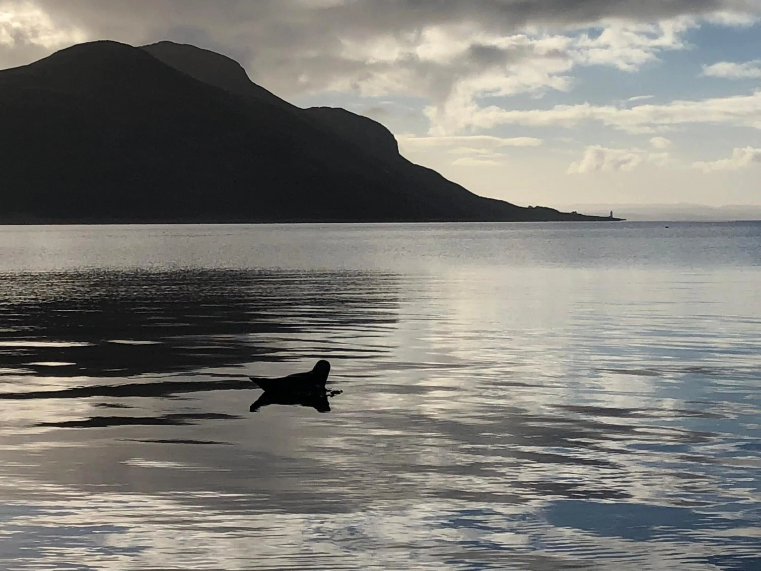 The Arran Lodge & Arran Sleep Huts