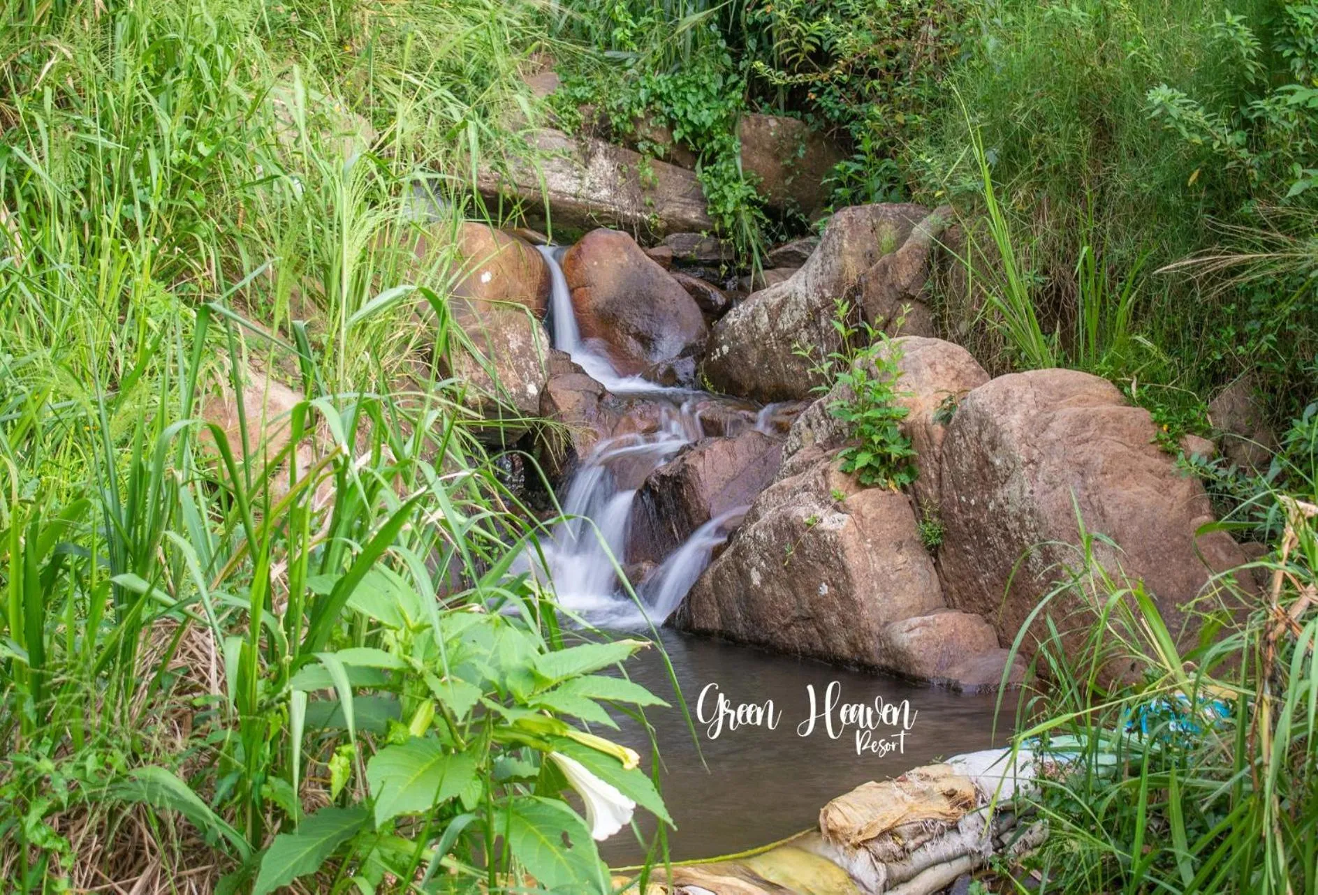 Natural landscape in Green Heaven Resort Kandy