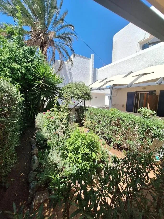 Garden in Perdika Mare Guesthouse