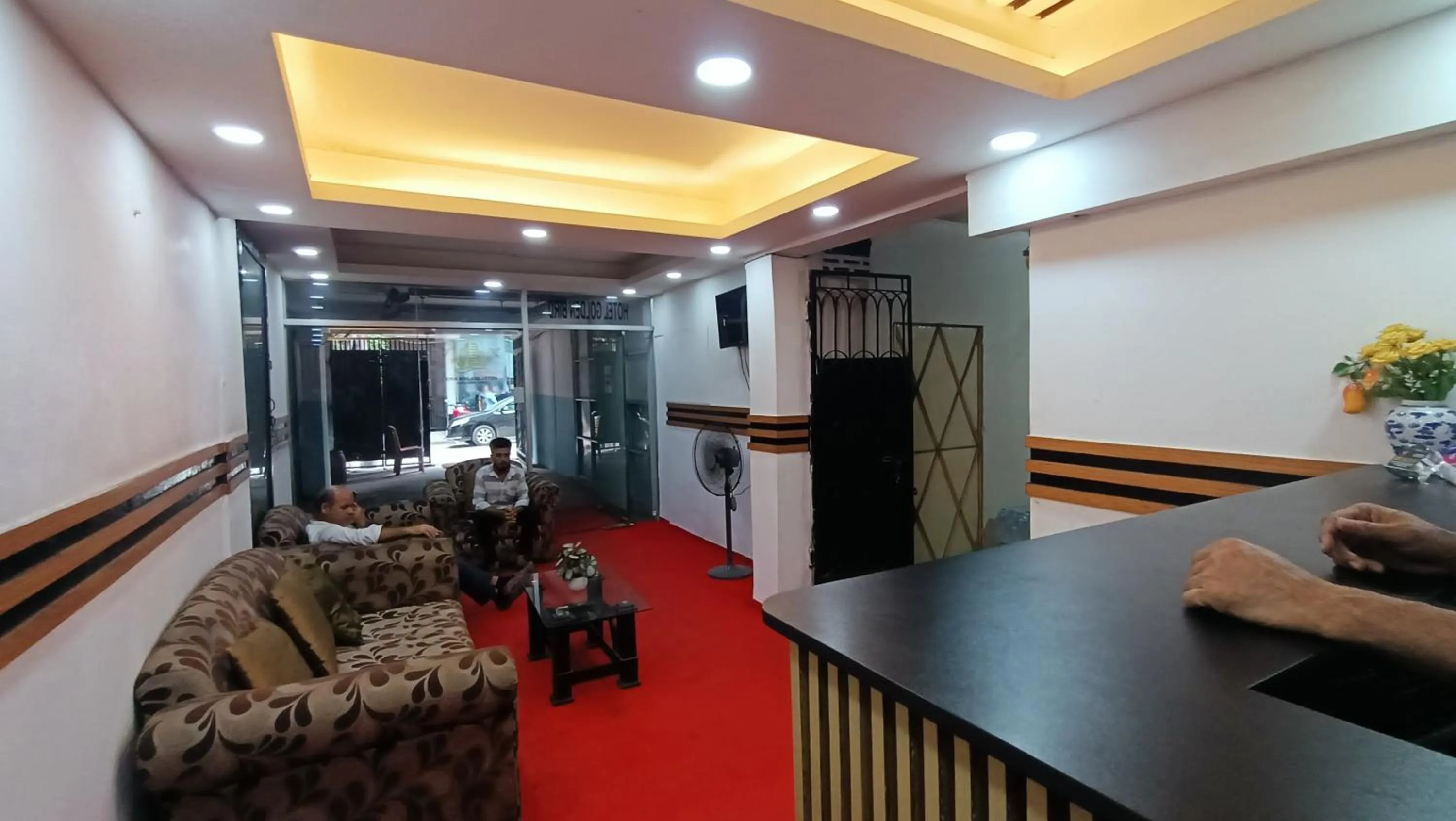 TV and multimedia in Hotel Golden Bird