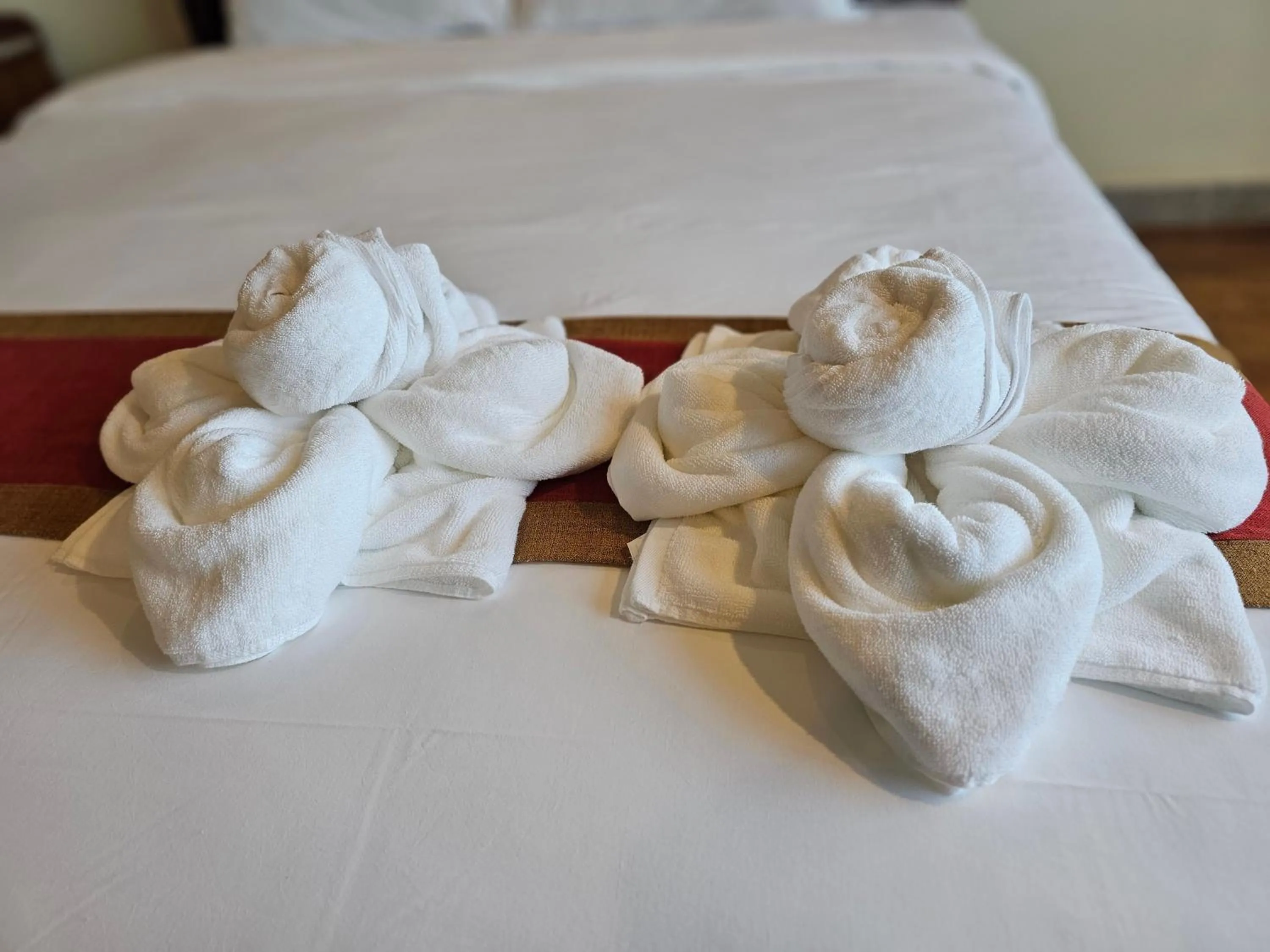 towels, Bed in Class Boutique Hotel