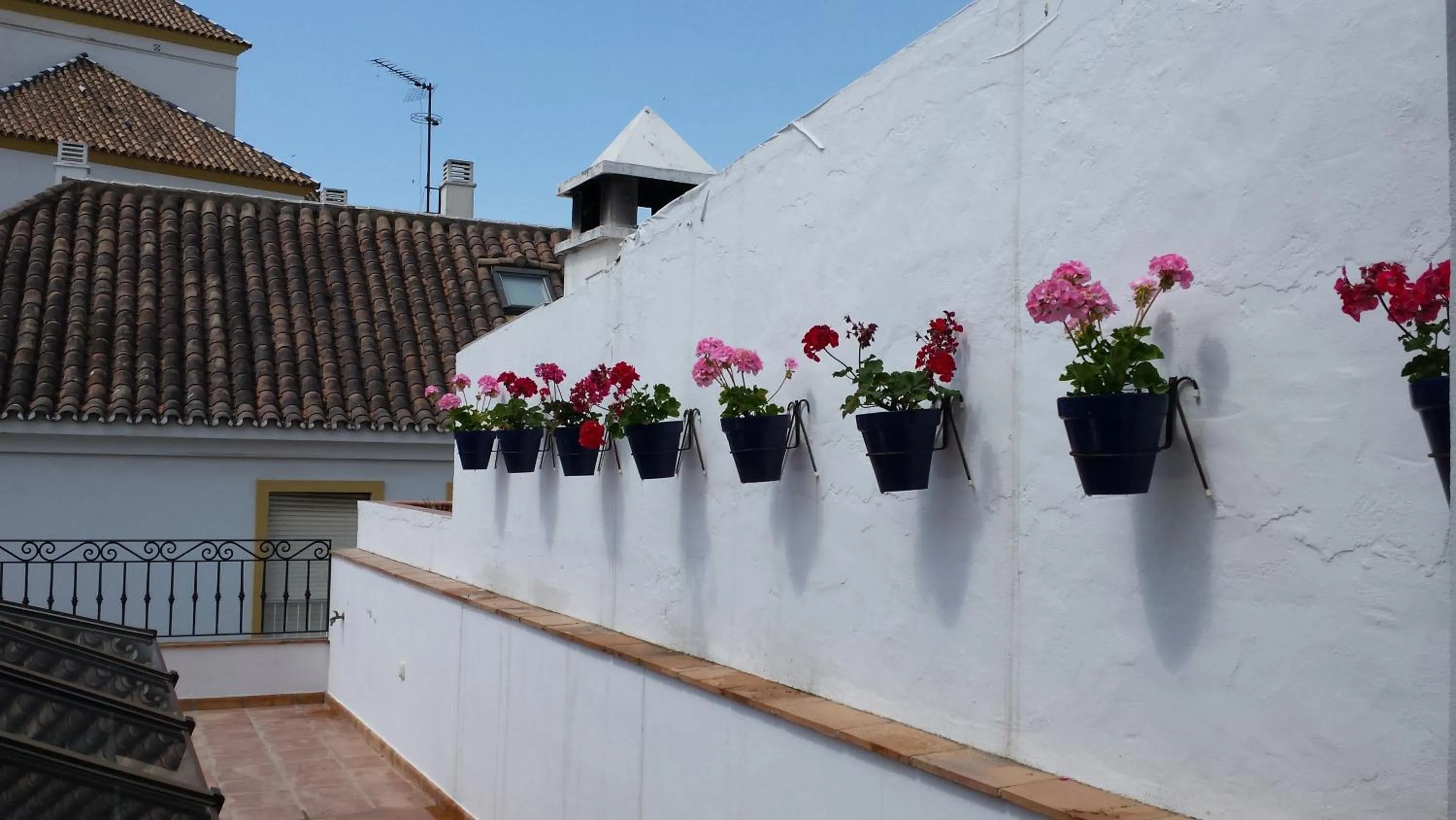 Balcony/Terrace, Property Building in Hotel Boutique Casa Veracruz
